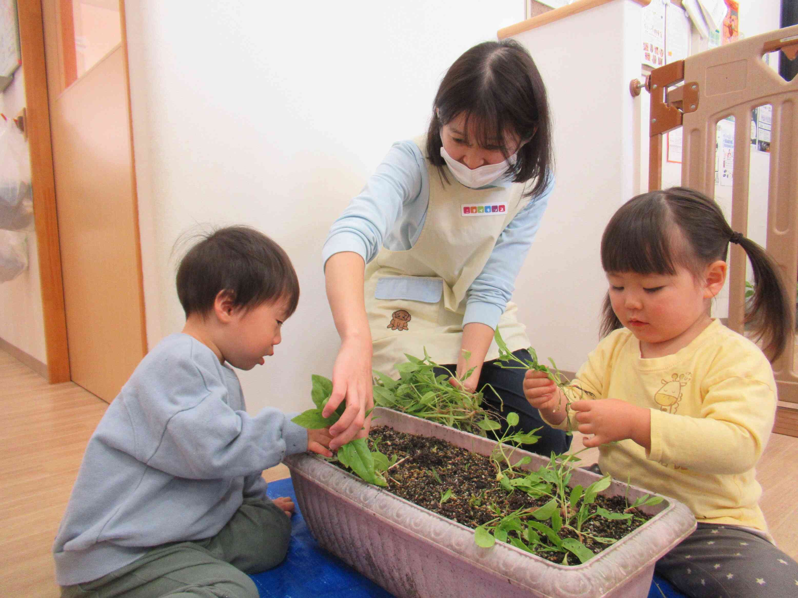 いっぱいとったよ