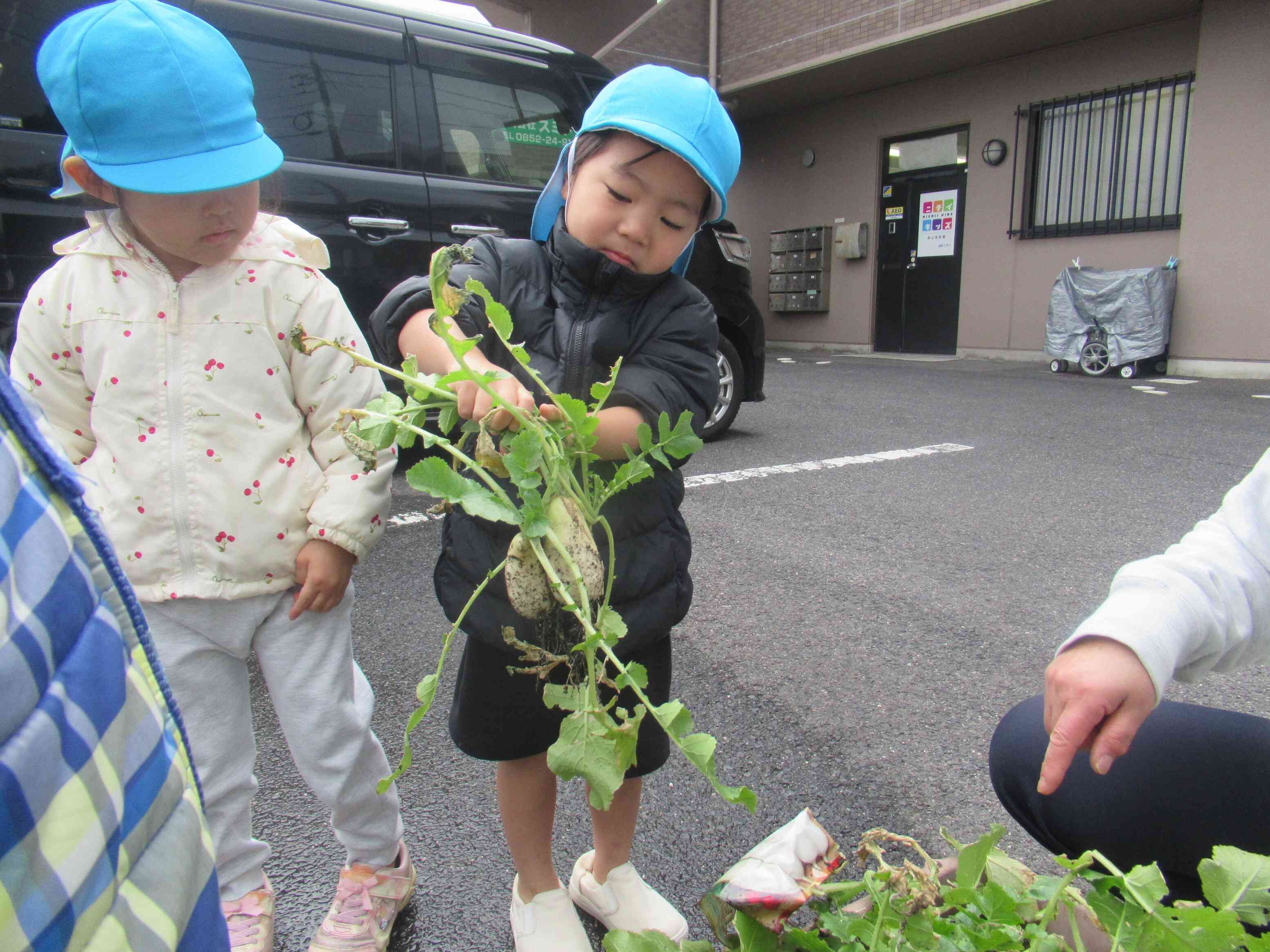 抜いてみると、大小合わせて3つの実がついていました。「わぁ　いっぱいだ‼」