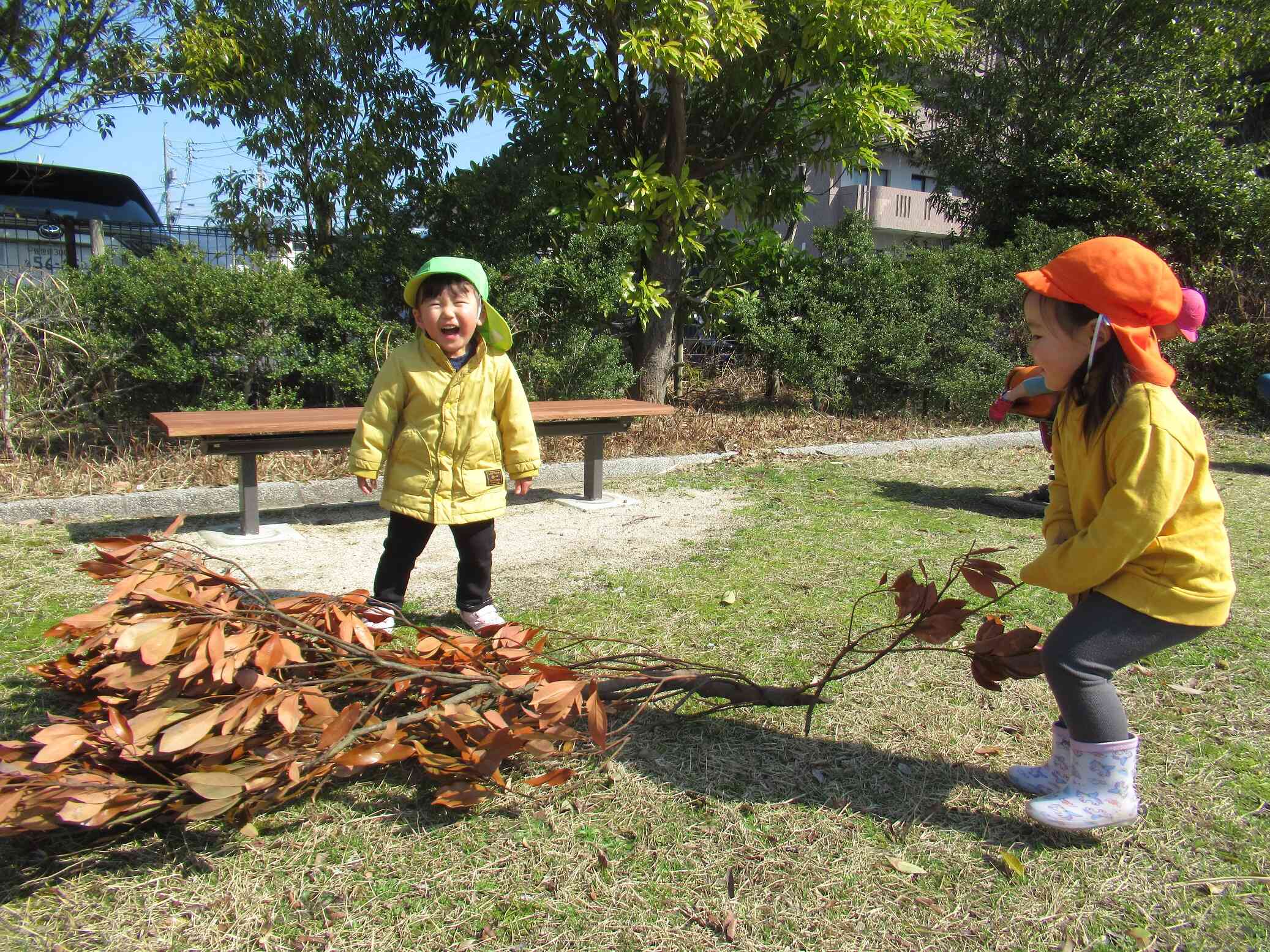 大きな木があったよ