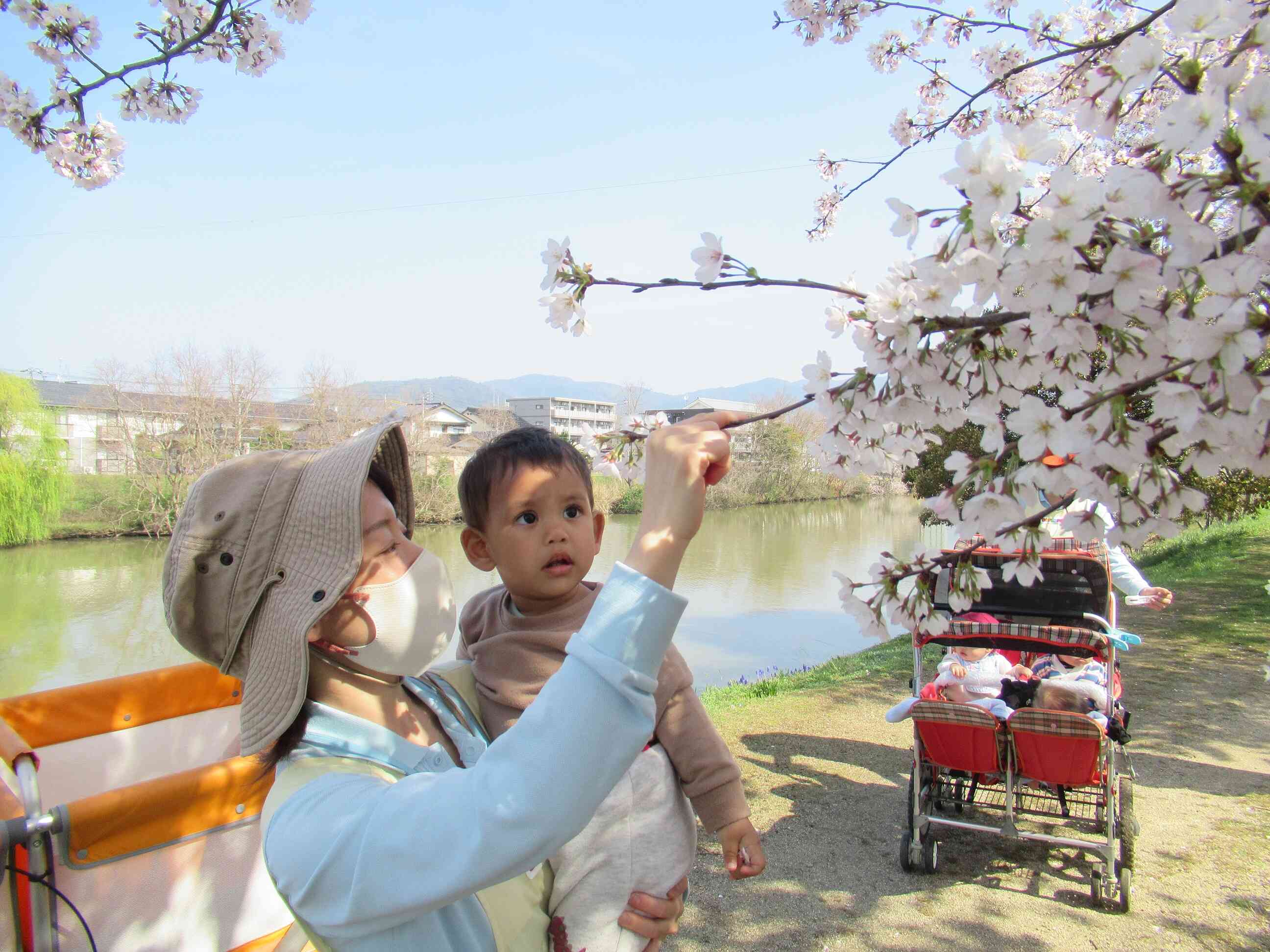 近くでお花を見たよ