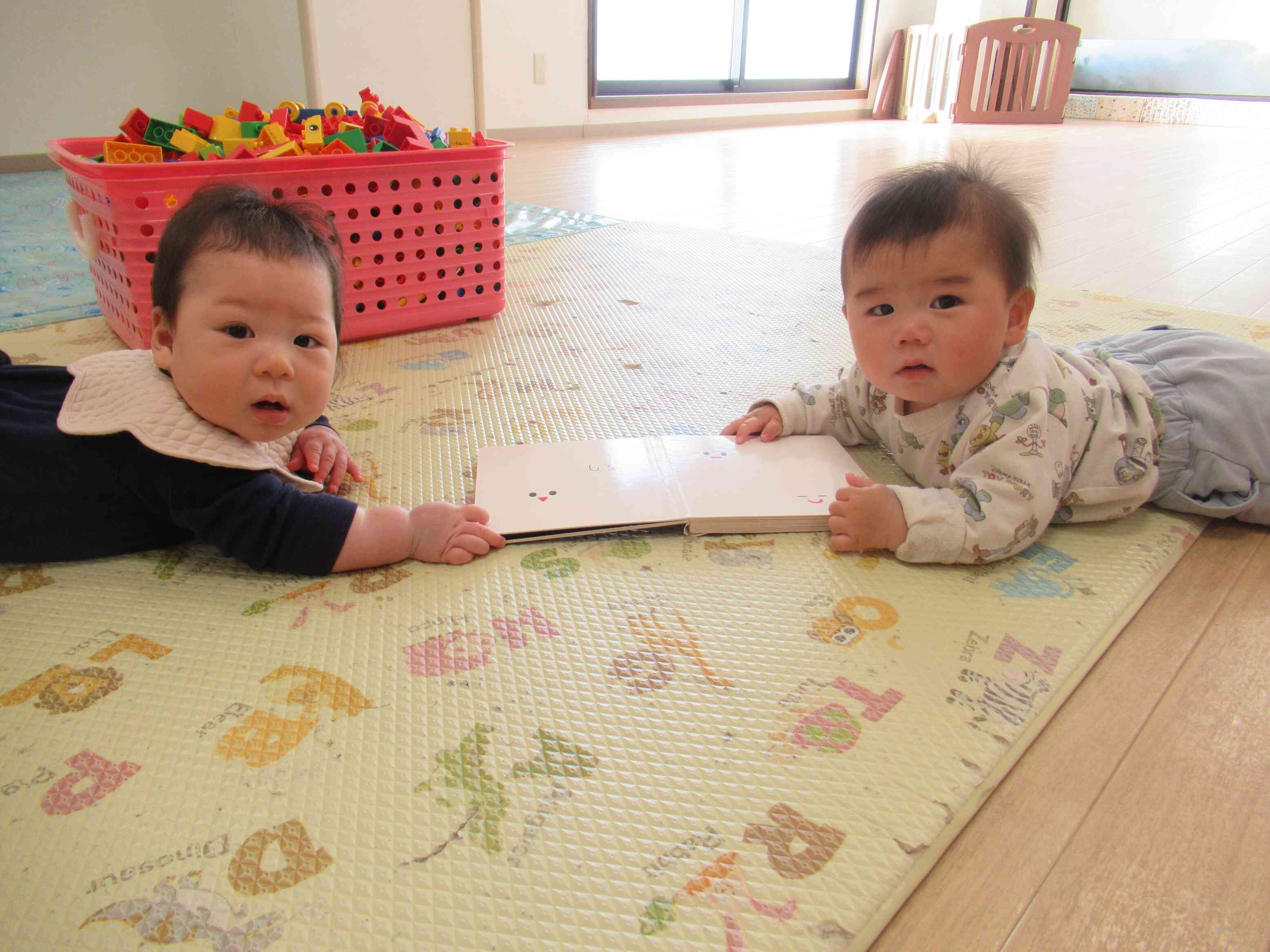 0歳児のお友だち