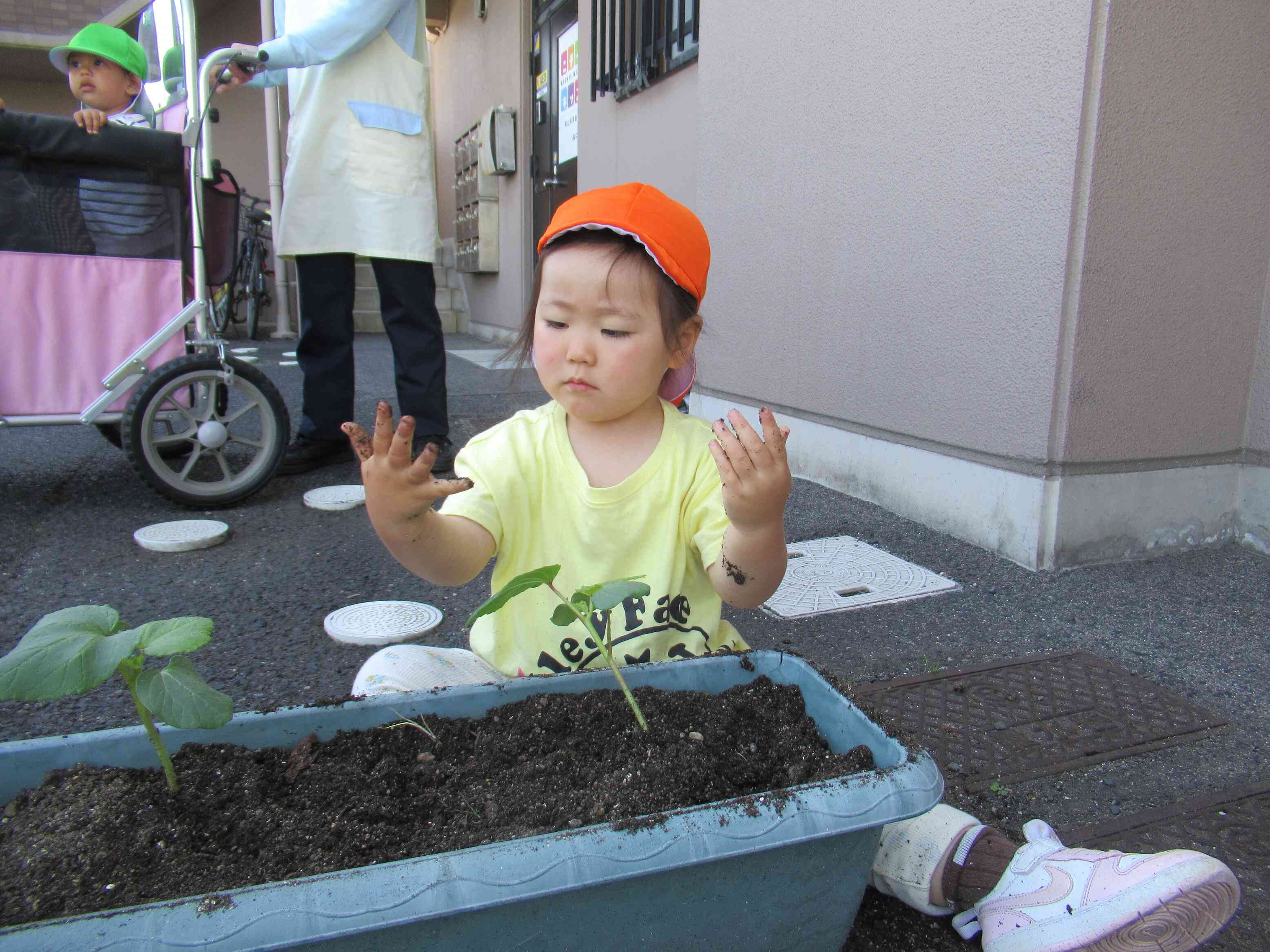 “手に土がついちゃった~”