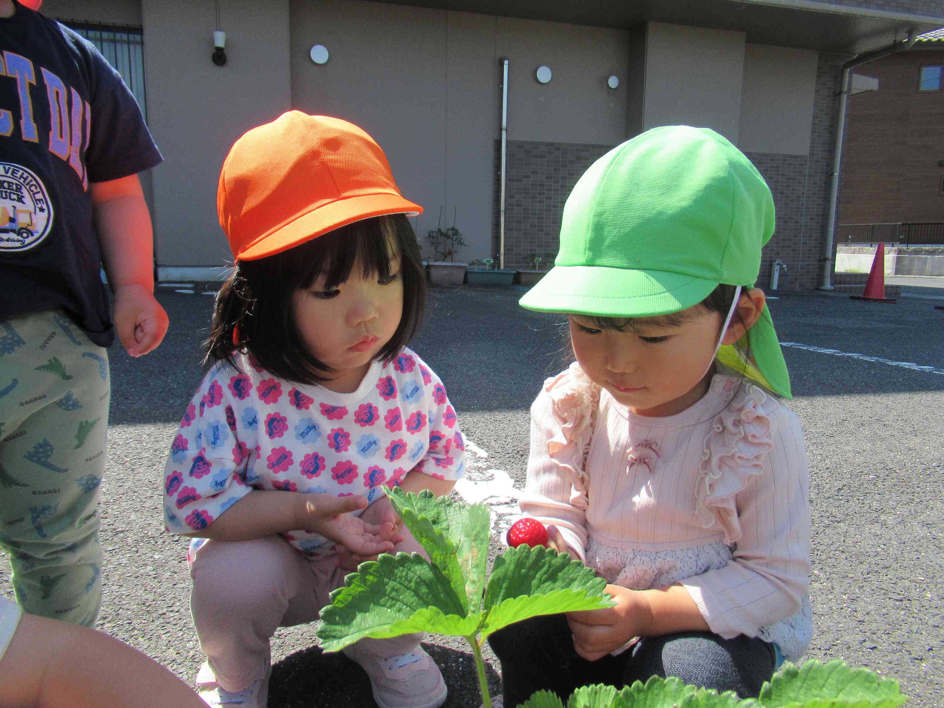 さわってみたいな