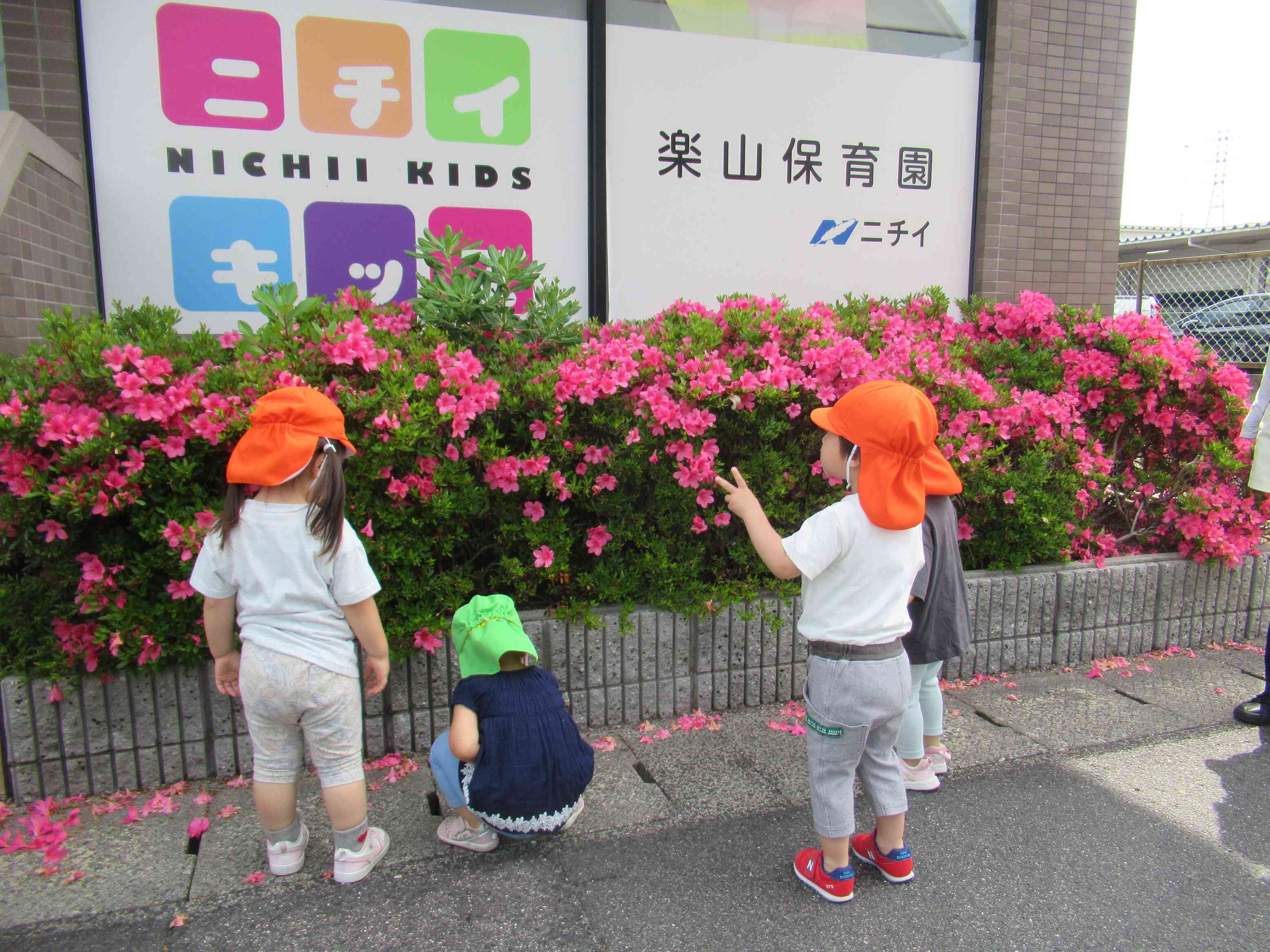 お花がいっぱいだ