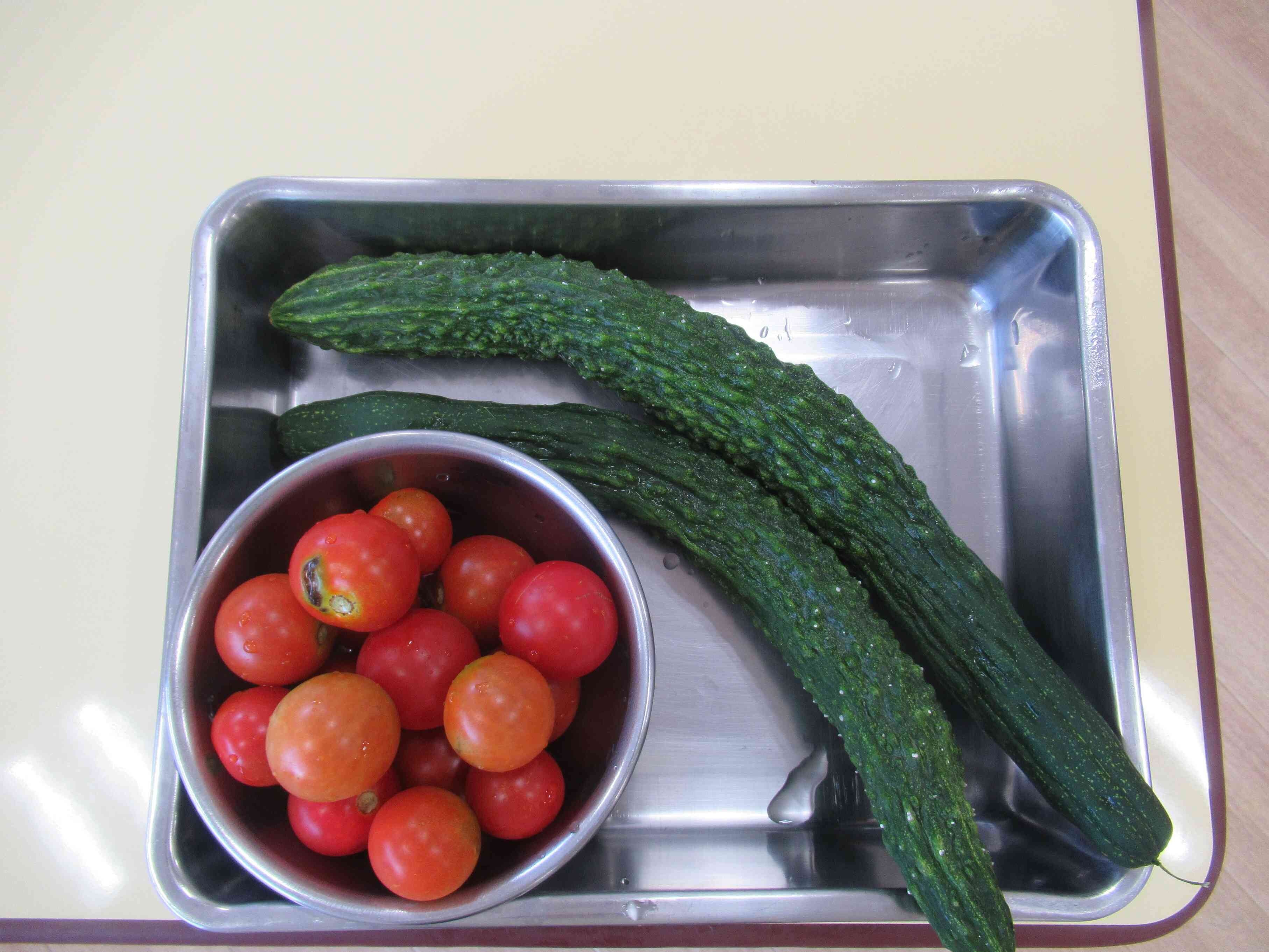収穫した夏野菜をたくさん食べました。