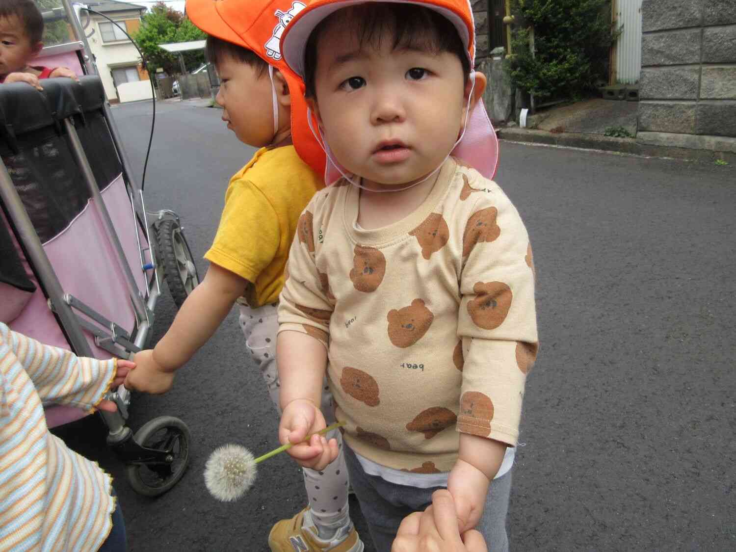 たんぽぽ見つけたよ！