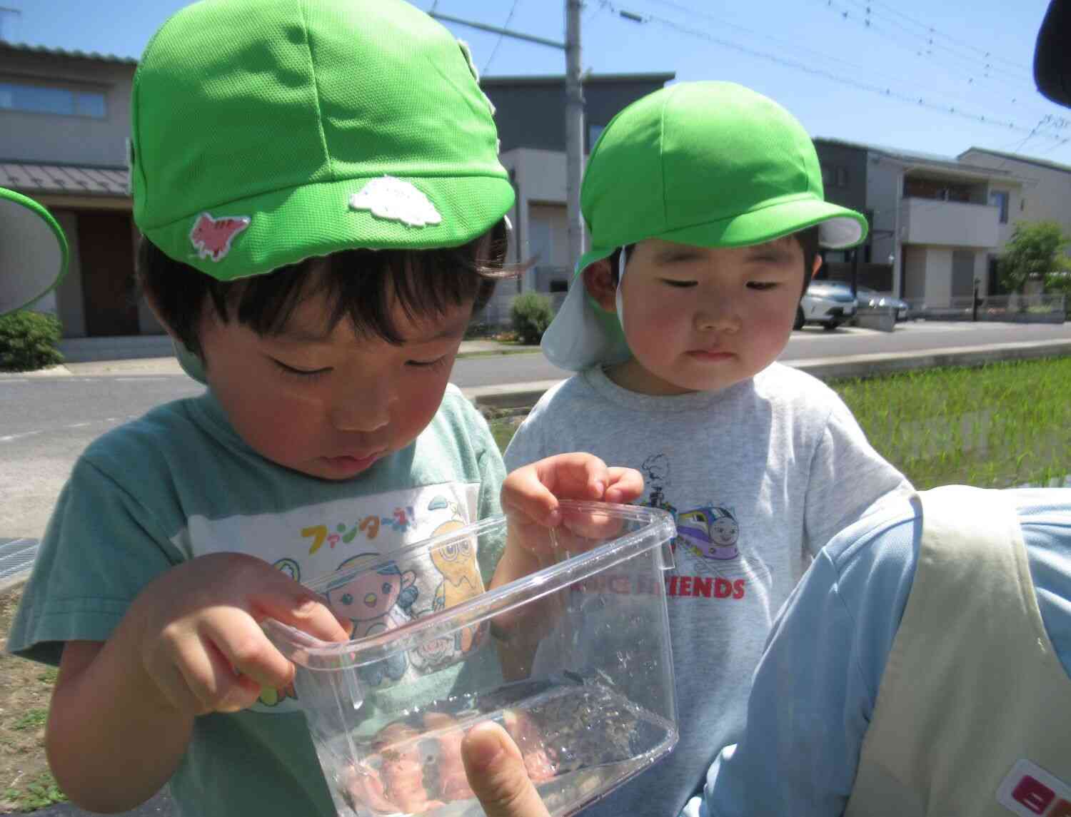 うさぎ組☆生き物との出会い