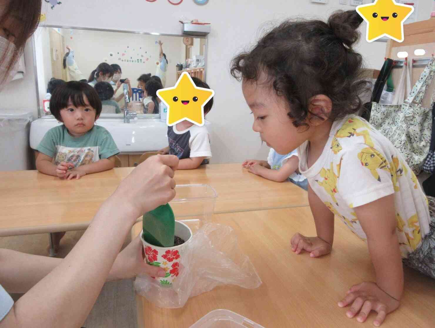 カエルさんのお墓