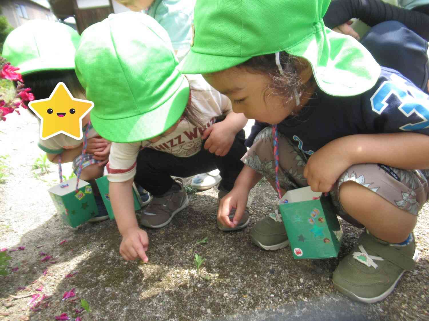 神社ではダンゴムシに出会ったよ!