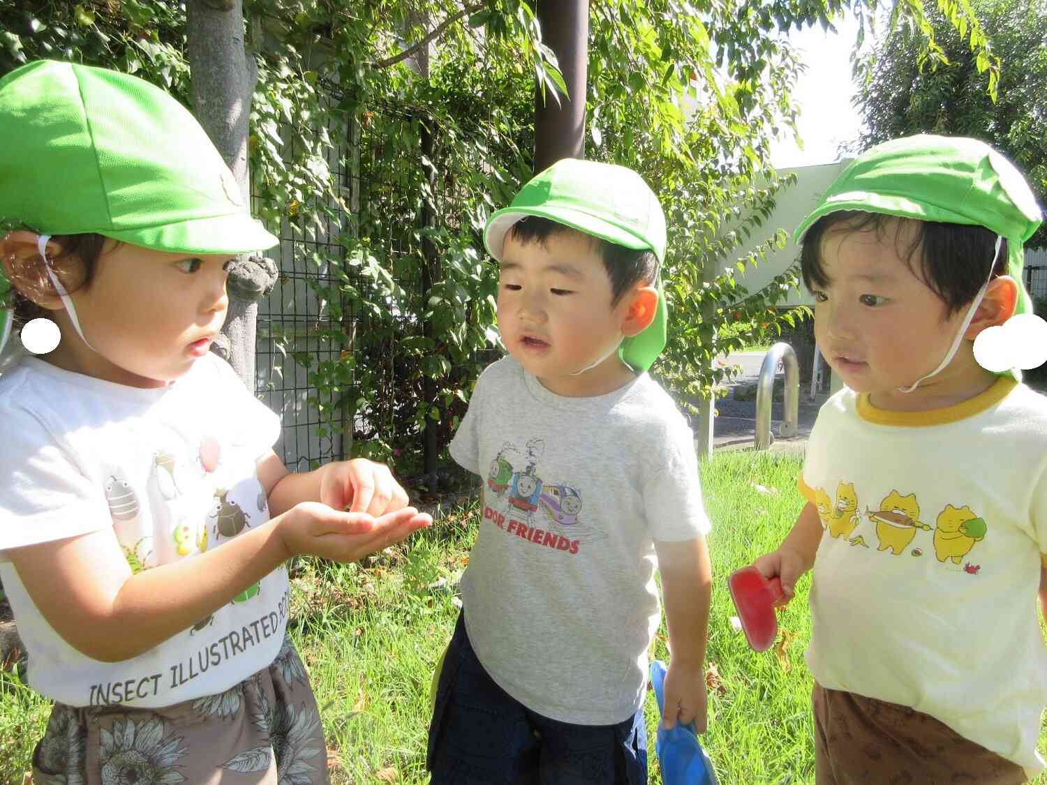 何を見つけたの？