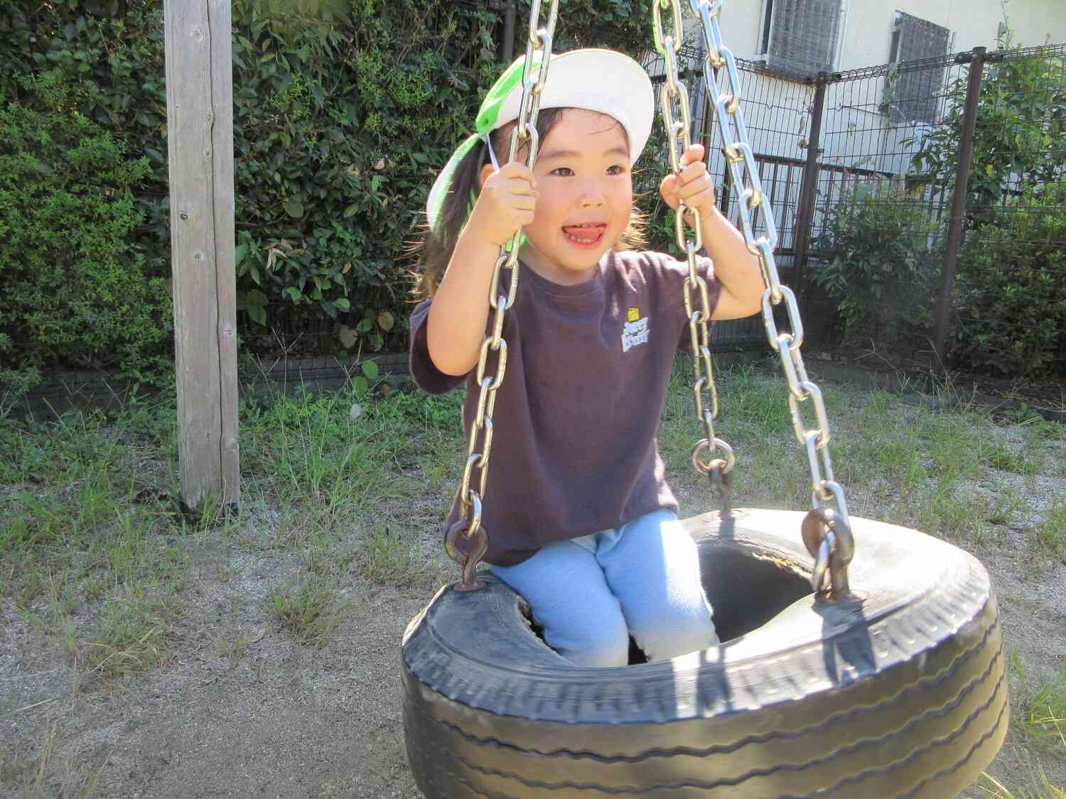 うさぎ組☆最近のお散歩の様子①