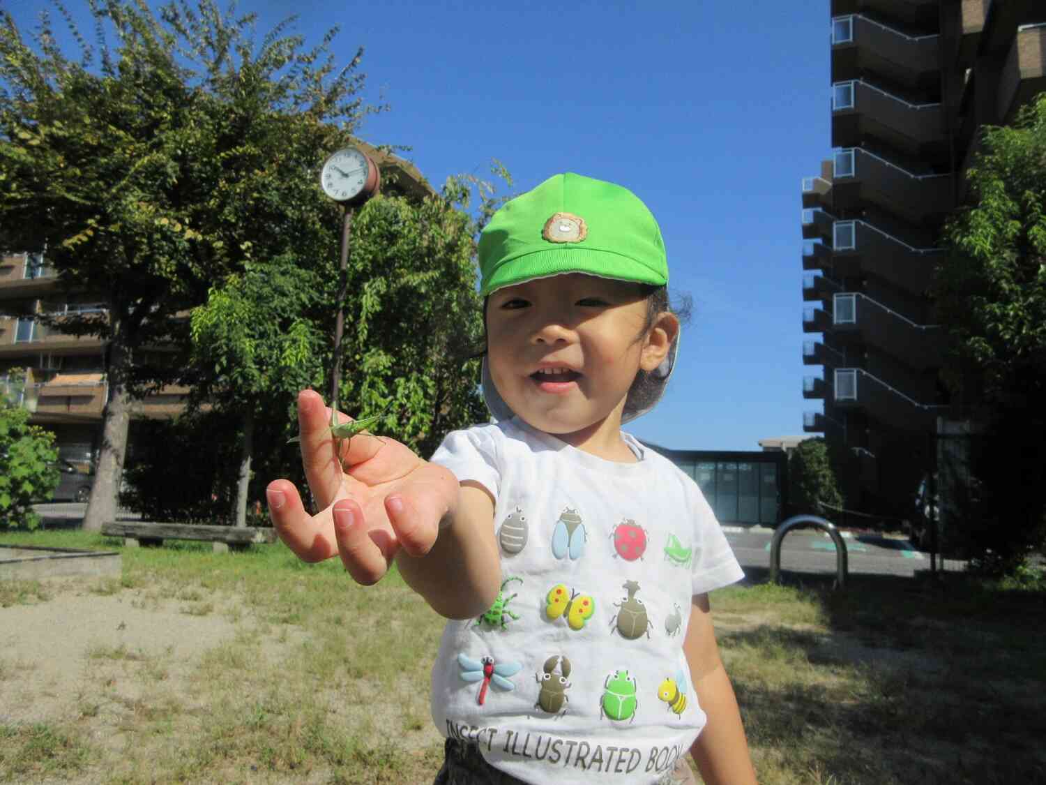 上手にバッタを捕まえたよ!いきものだーいすき!