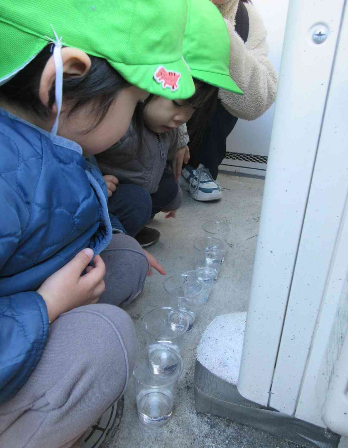 明日氷になあれ～♪