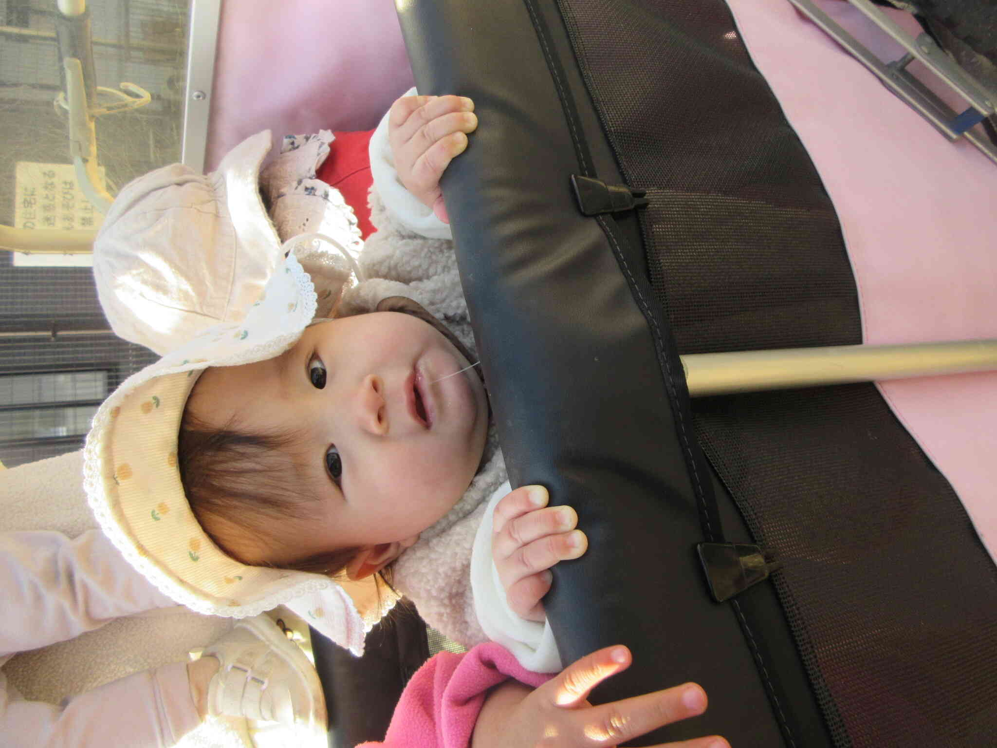 初たちバギードキドキ