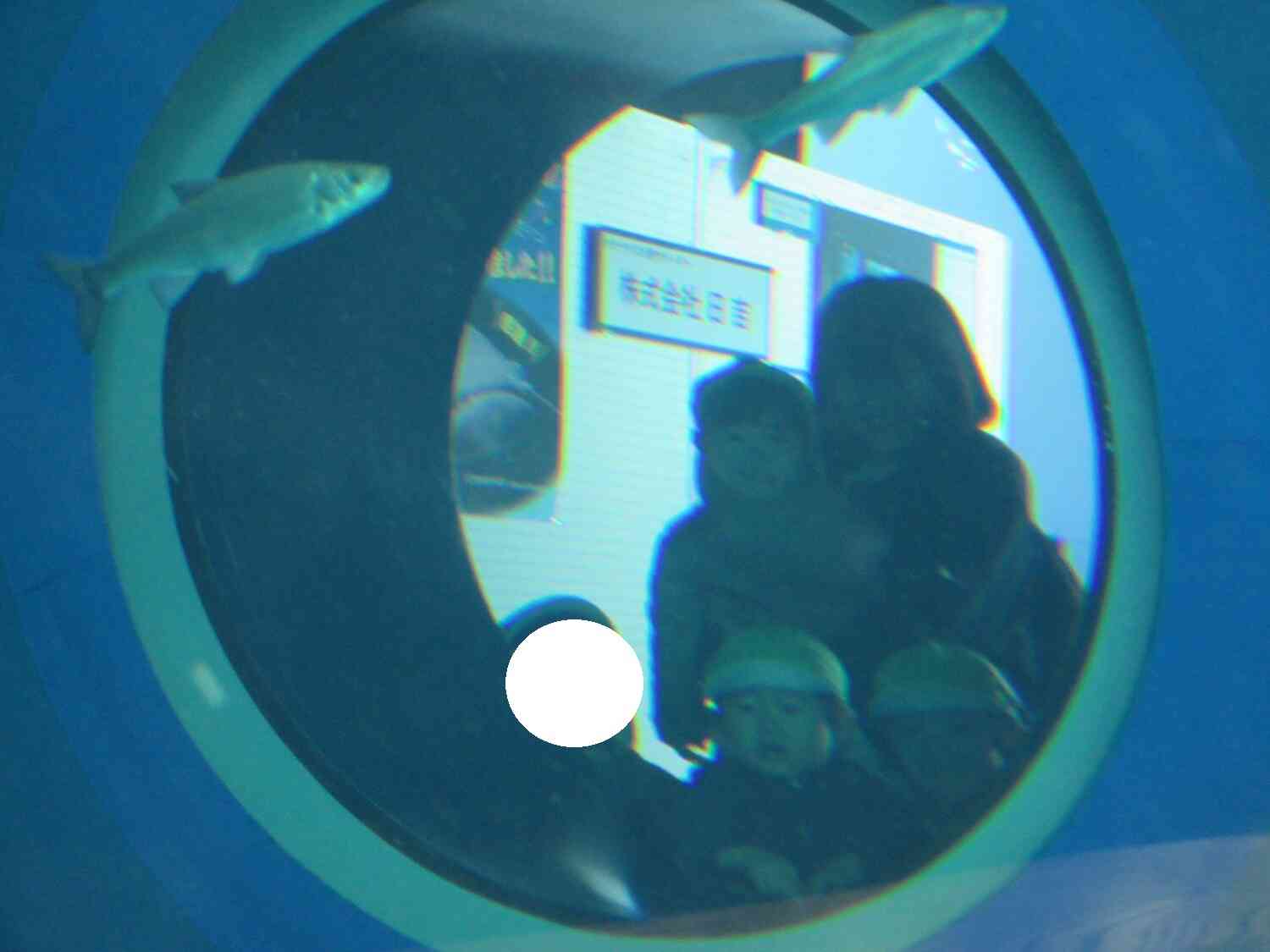 やっほ～！反対側からよく見えるよ～！