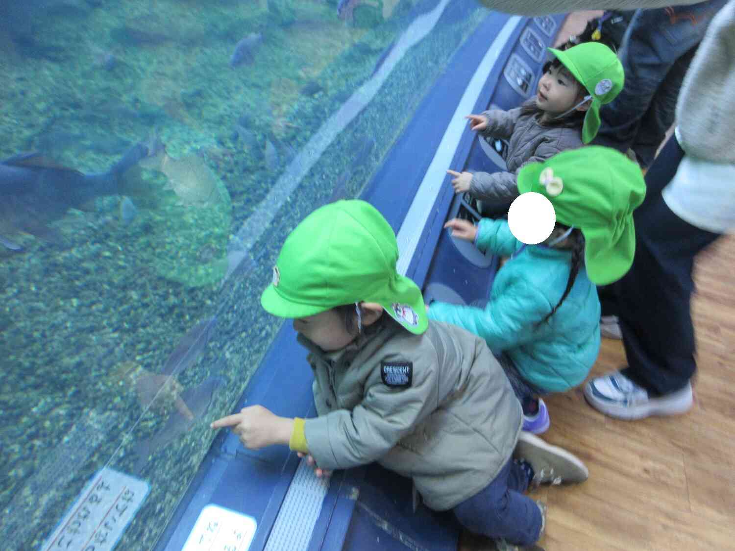 みてみて、ここにもいるよ～！