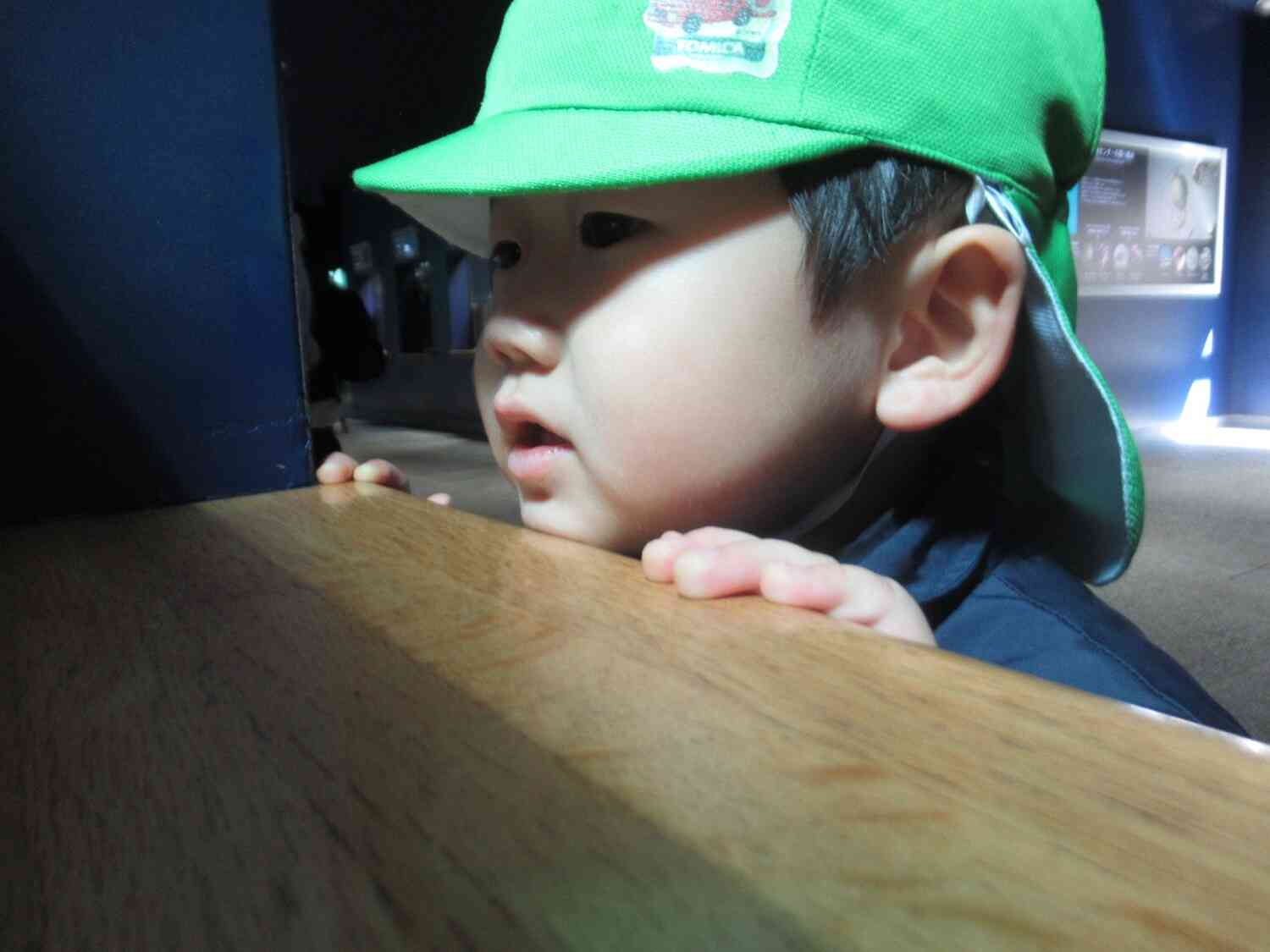 何がいたのかな？真剣な表情です☆