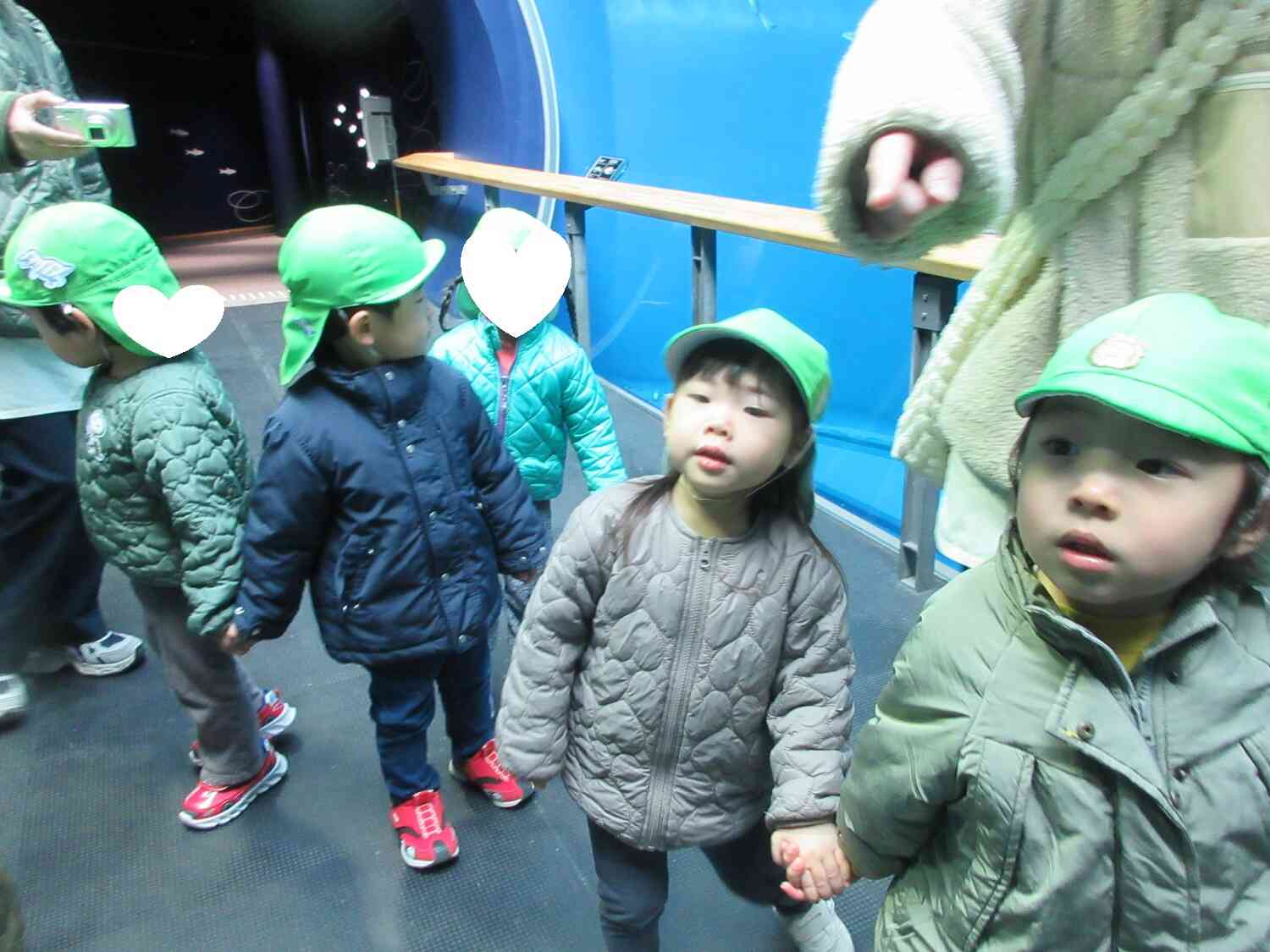 どんなお魚がいたかな？？