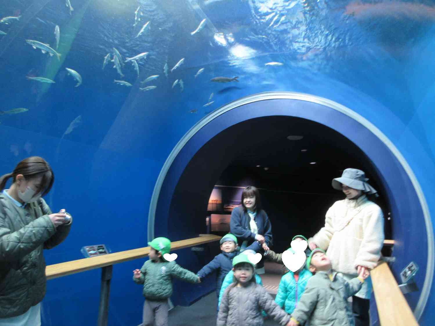 トンネルの水槽だ！！