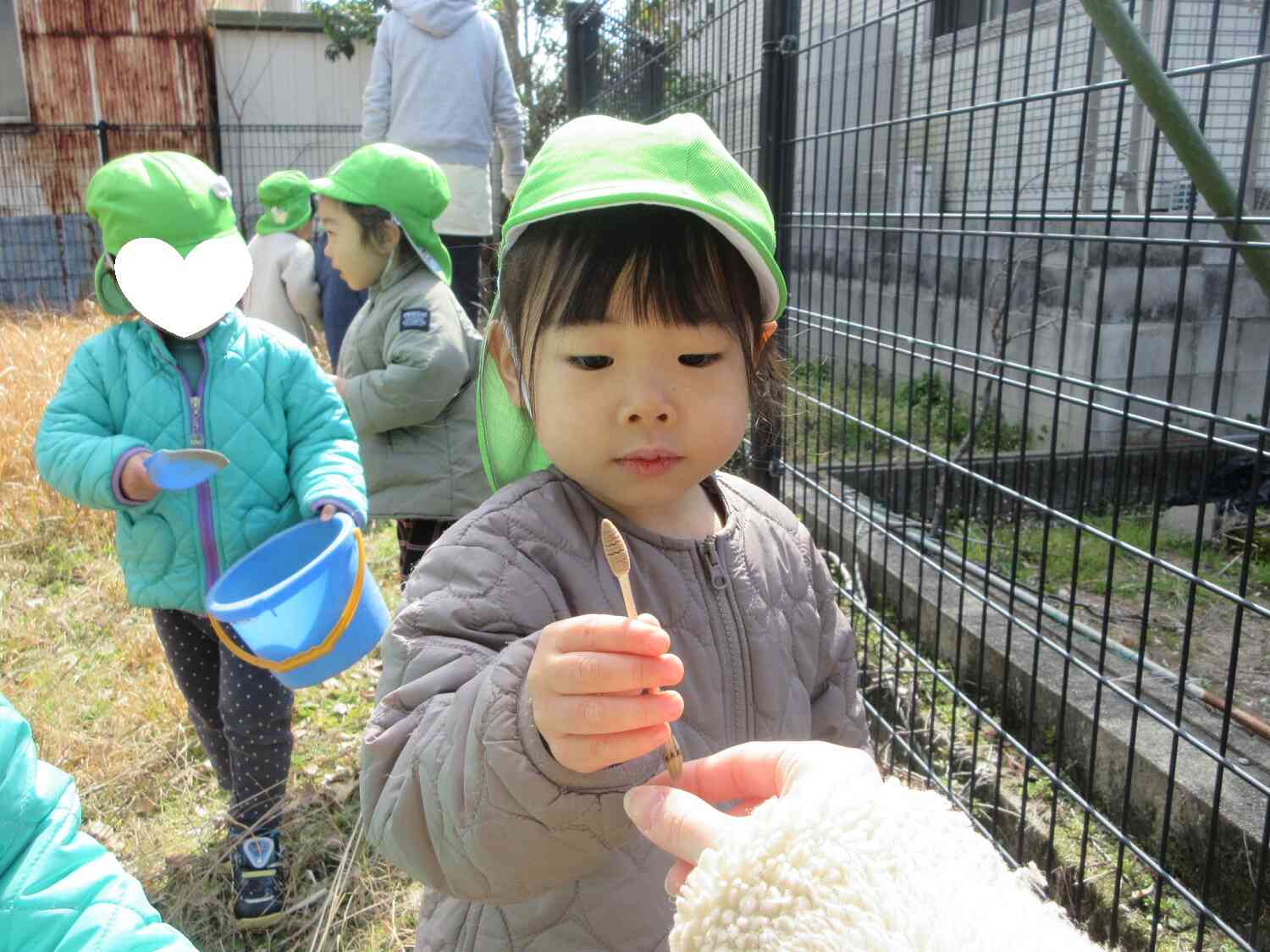 今シーズン初めてのつくしを見つけたよ！すっかり春ですね◎