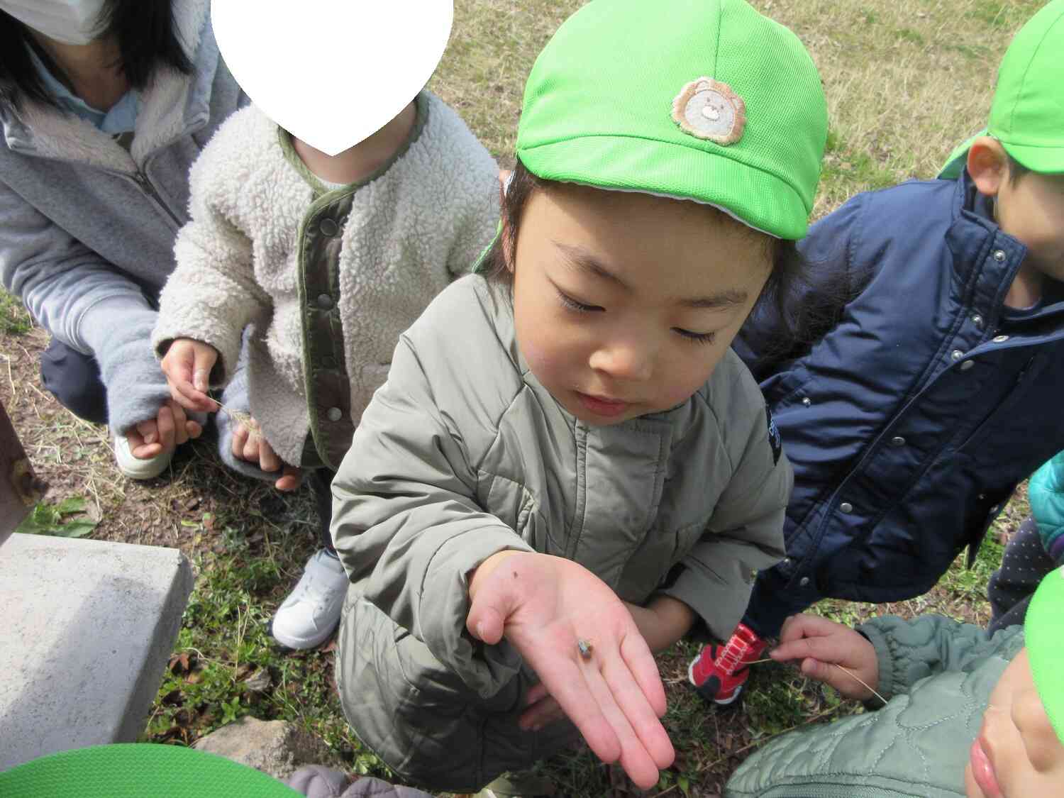 冬眠していた幼虫を発見！おはよう！春だよ～！