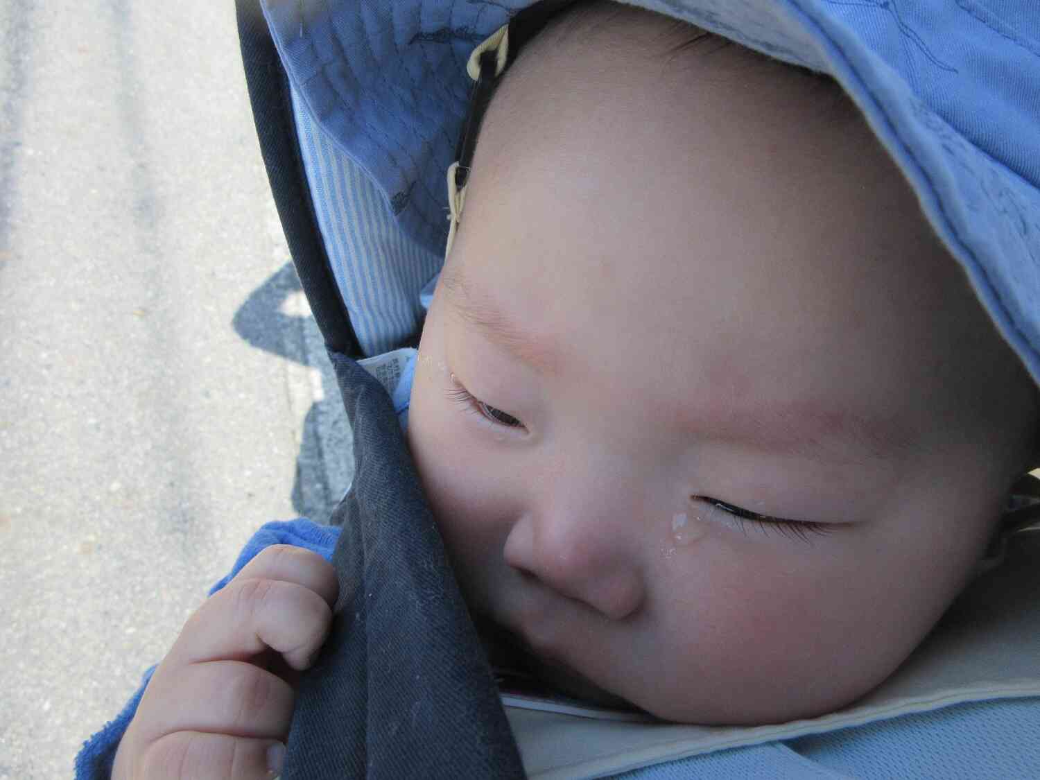 さっきまでの涙がポロリ…お散歩が大好きで、お外に行くと泣きやんでくれました◎