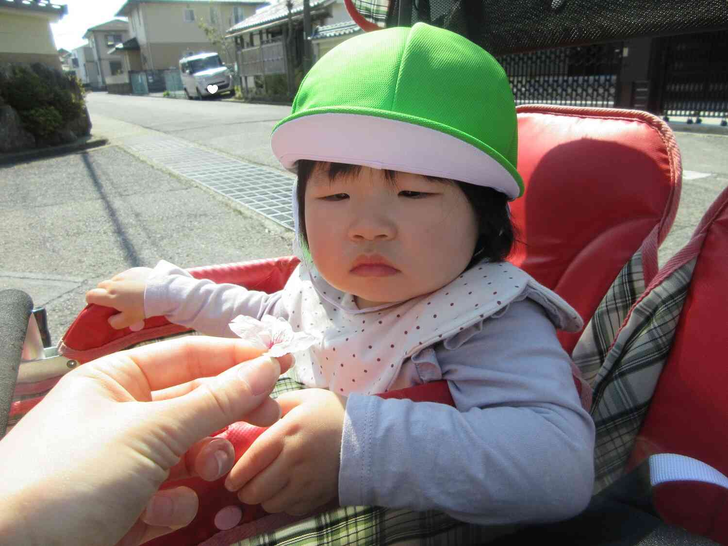 きれいな桜の花、見つけたよ～！