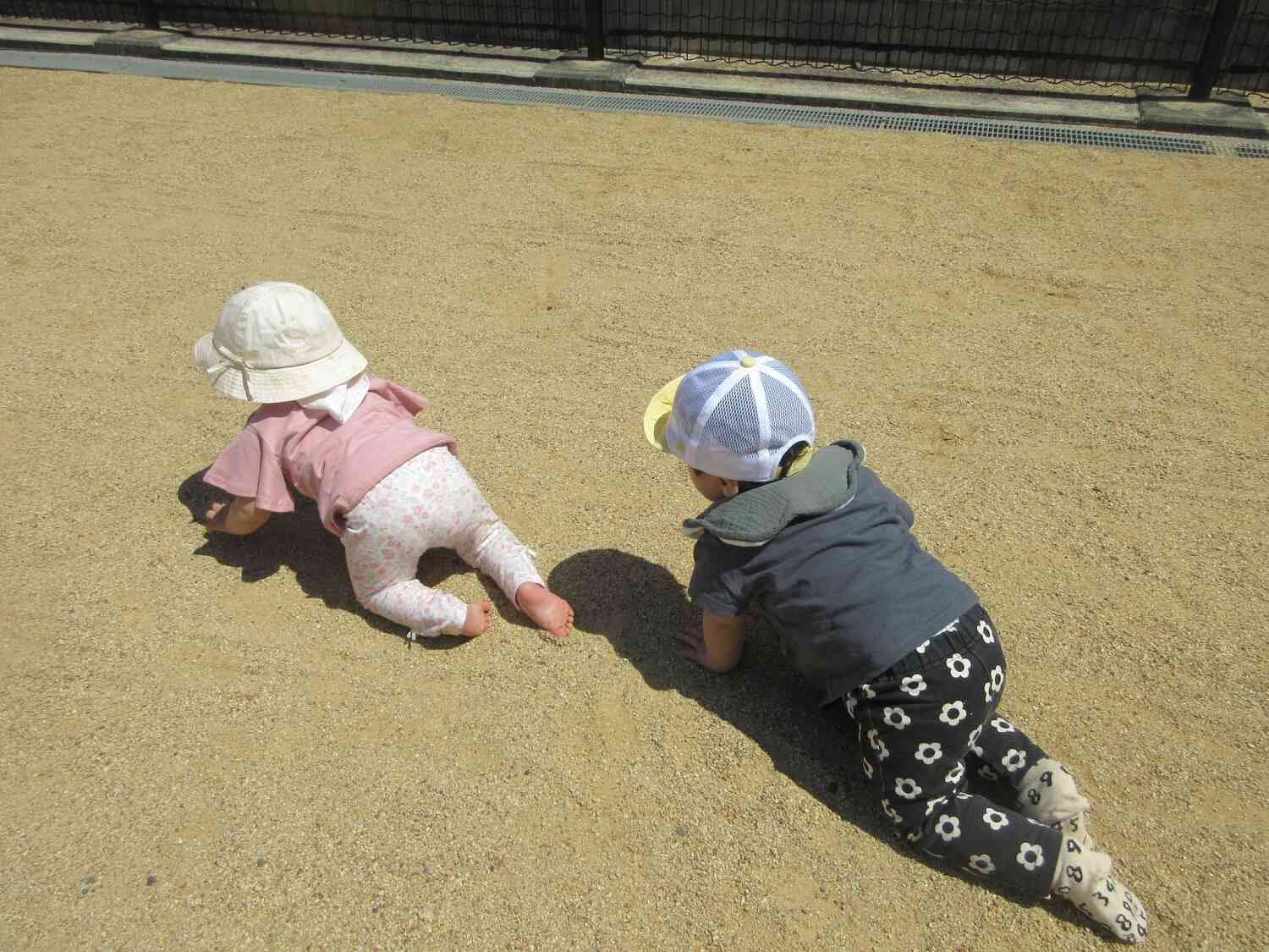 お友だちと一緒に探検に行くぞー！