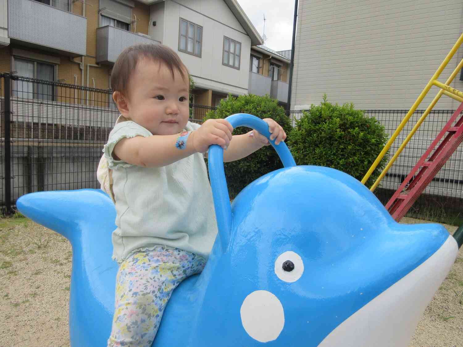 ひよこ組☆夏が来る前に