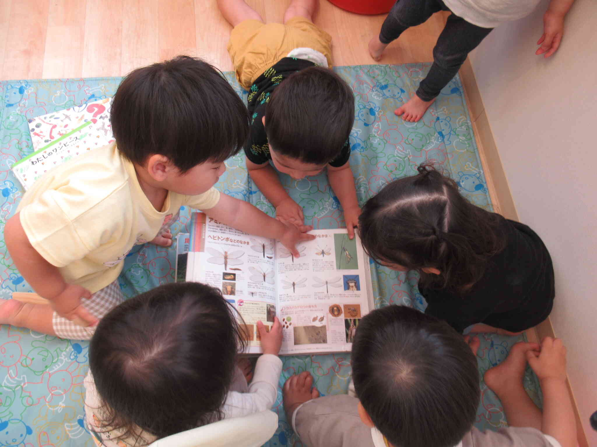 生き物に興味津々！！うさぎ組(2歳児)｜ニチイキッズ六郷保育園