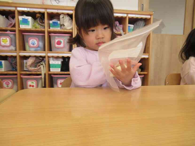 じっと観察中！