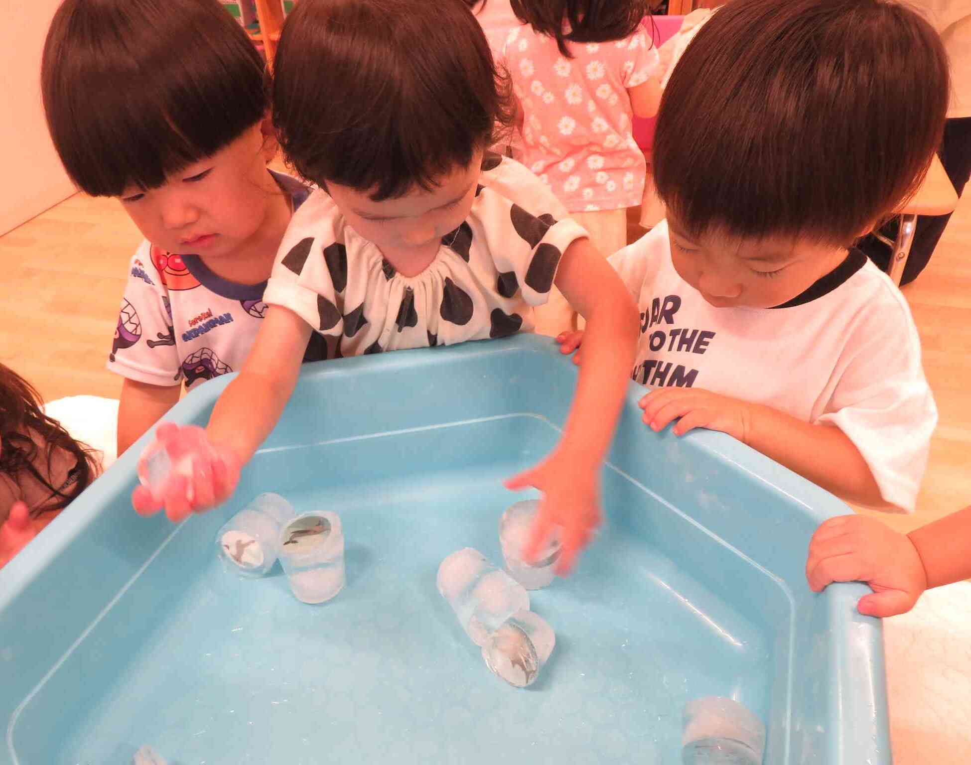 海の生き物を取り出してみよう!