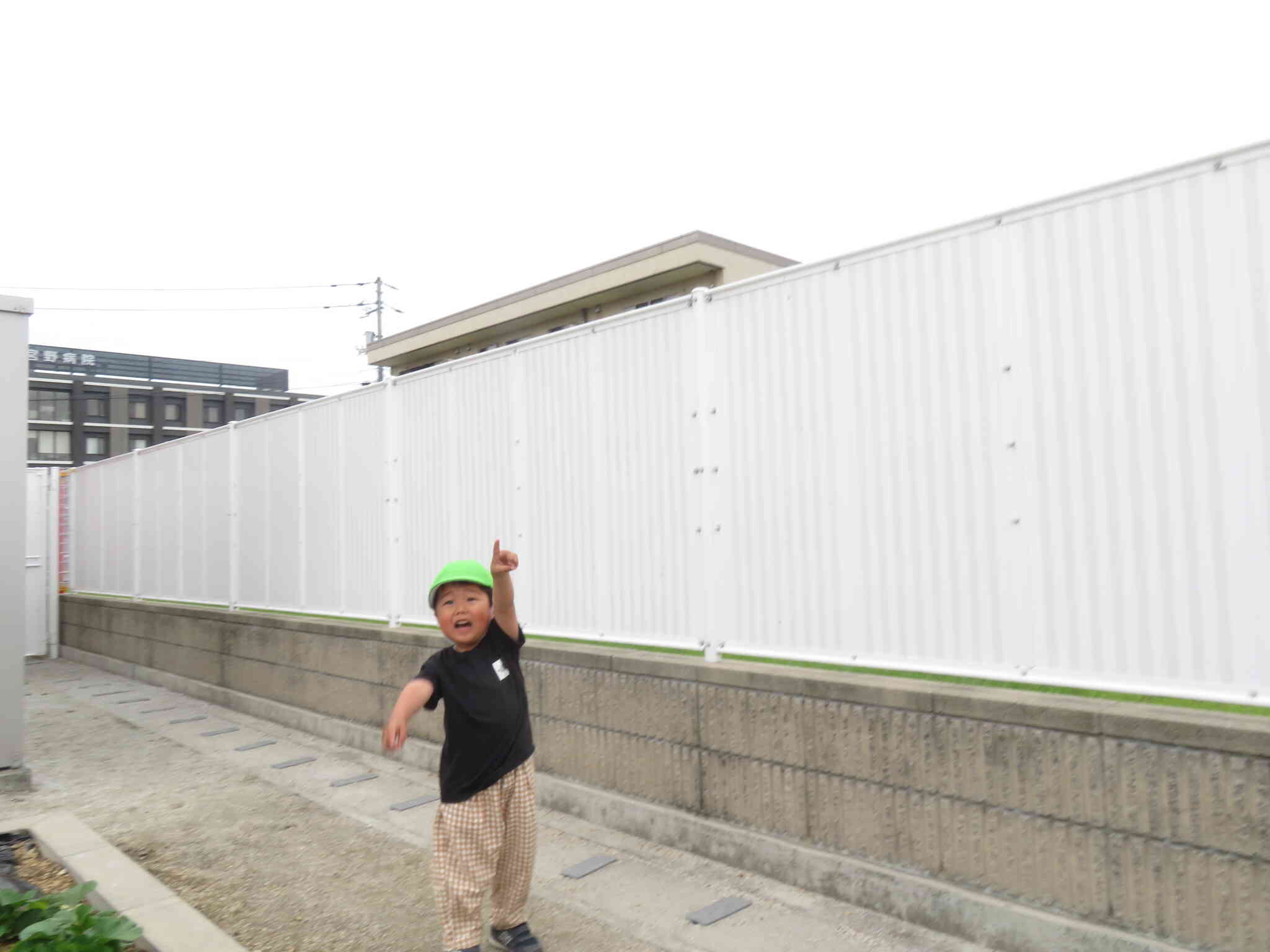 あ、鳥さんが飛んでいるよ！