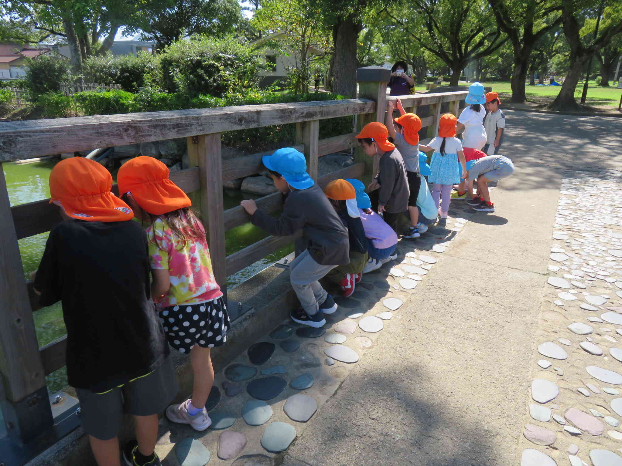 お堀の池にはたくさん鯉が泳いでお口をパクパクしていました！