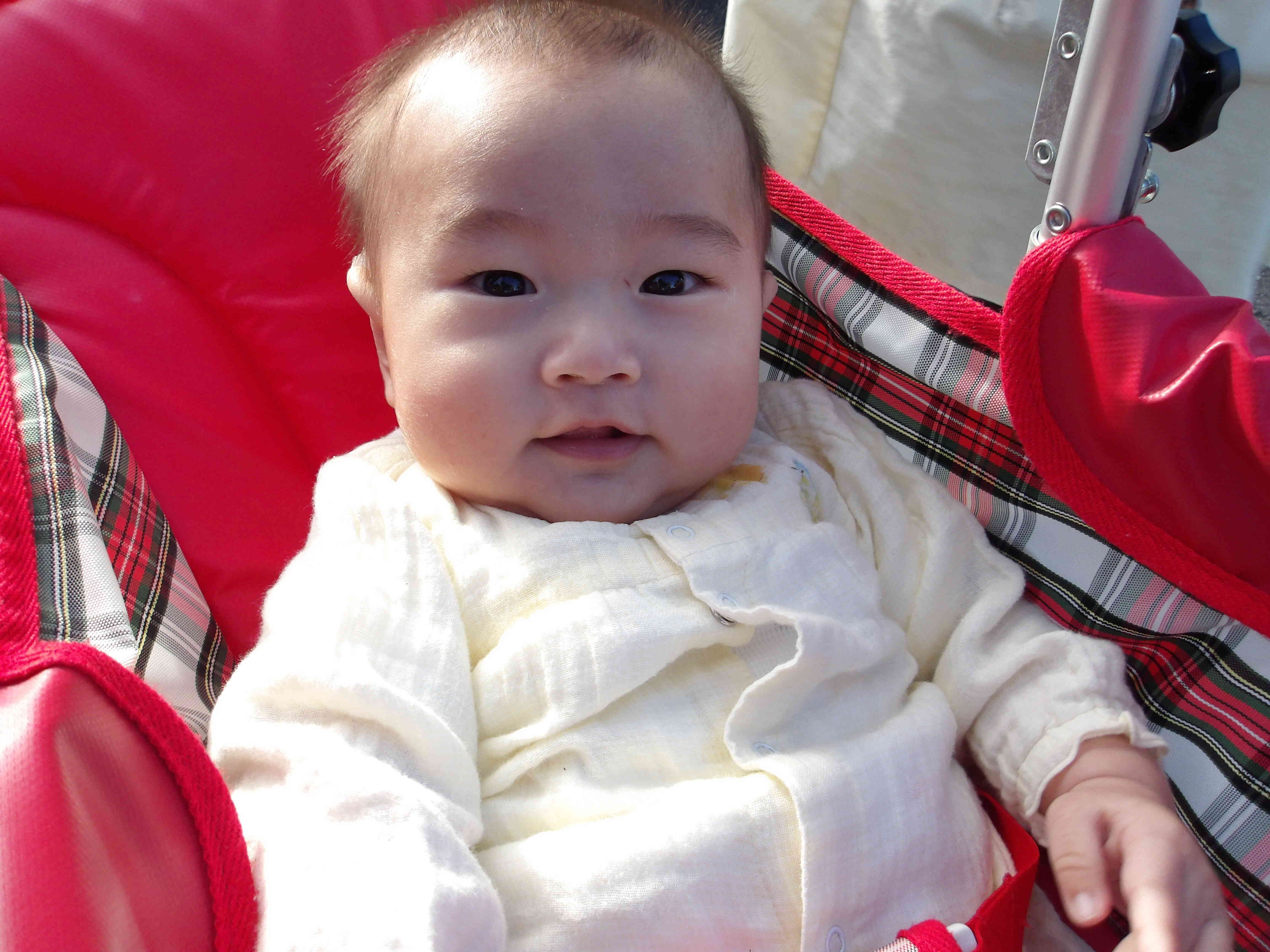 気持ちいい風だね