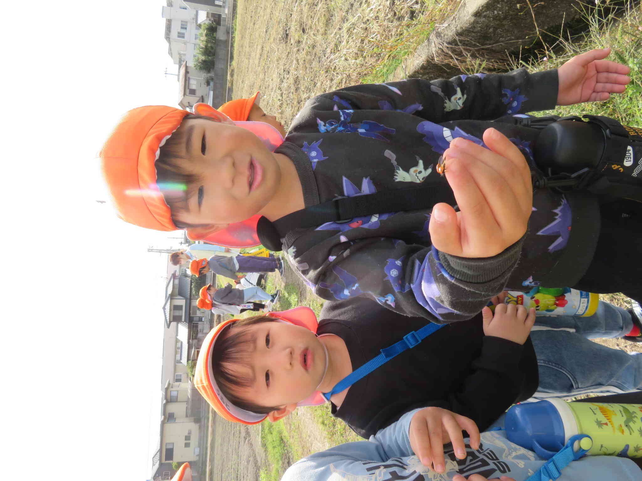 テントウムシみつけたよ