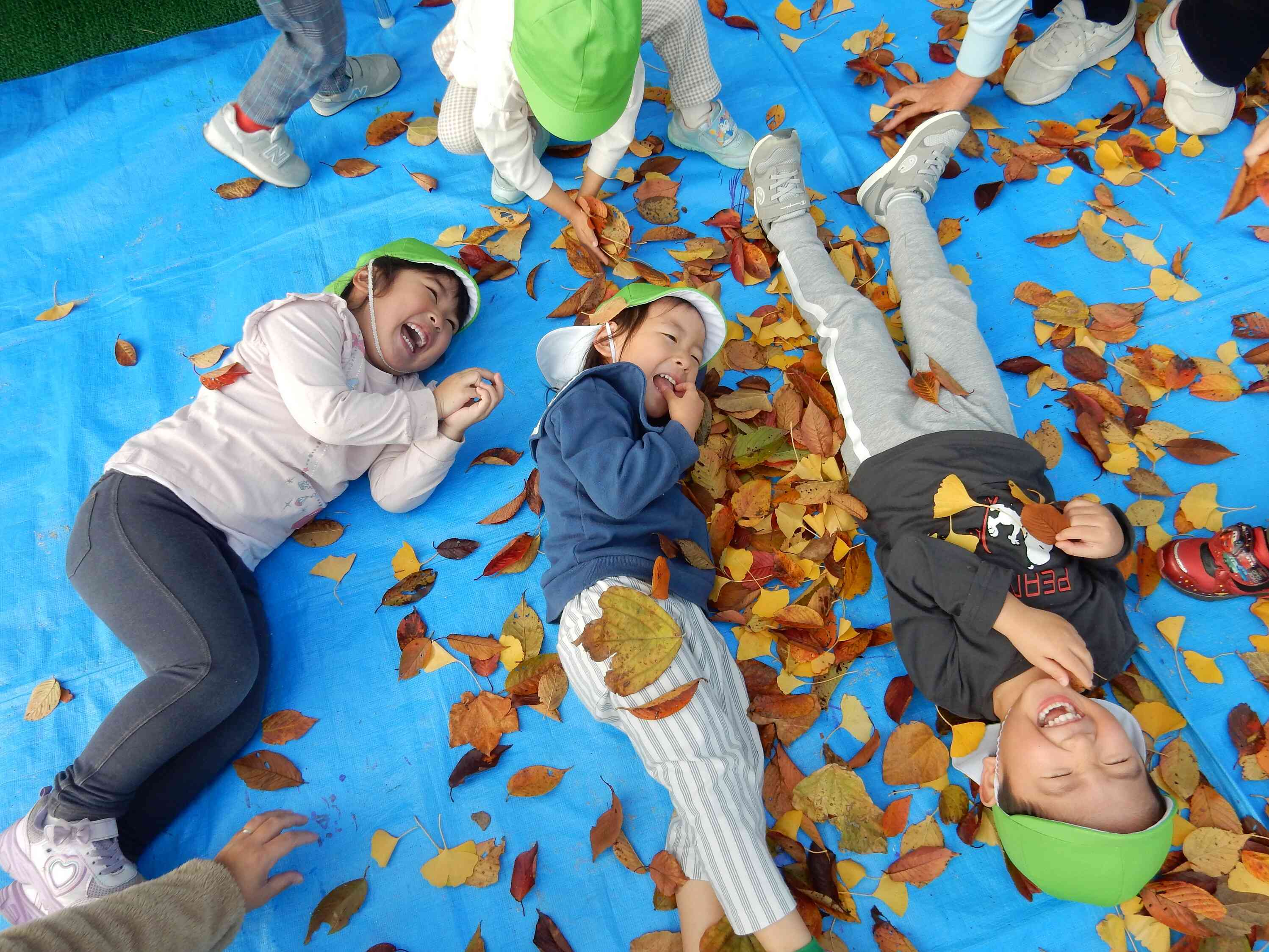 葉っぱで遊ぼう！