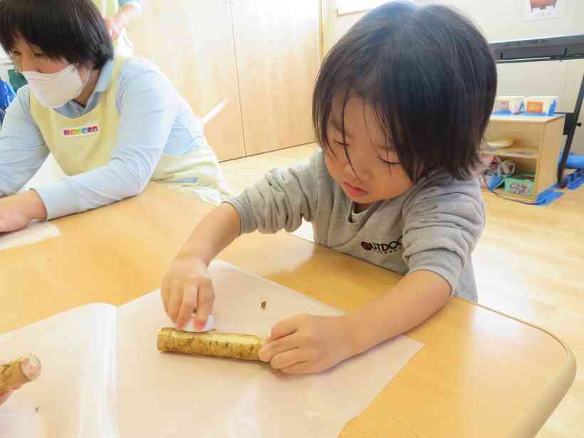 皮がむけてきたよ