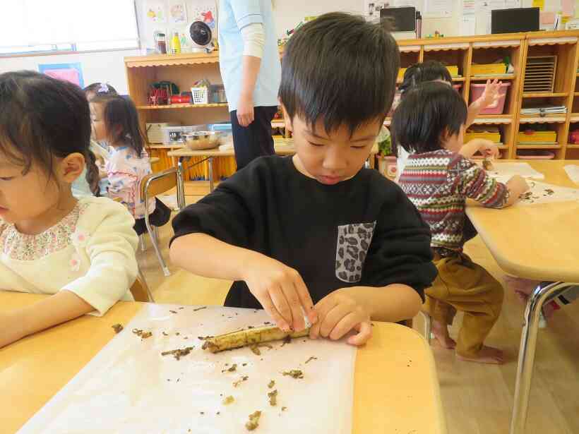 〈食育〉ごぼうの皮むき～りす組～