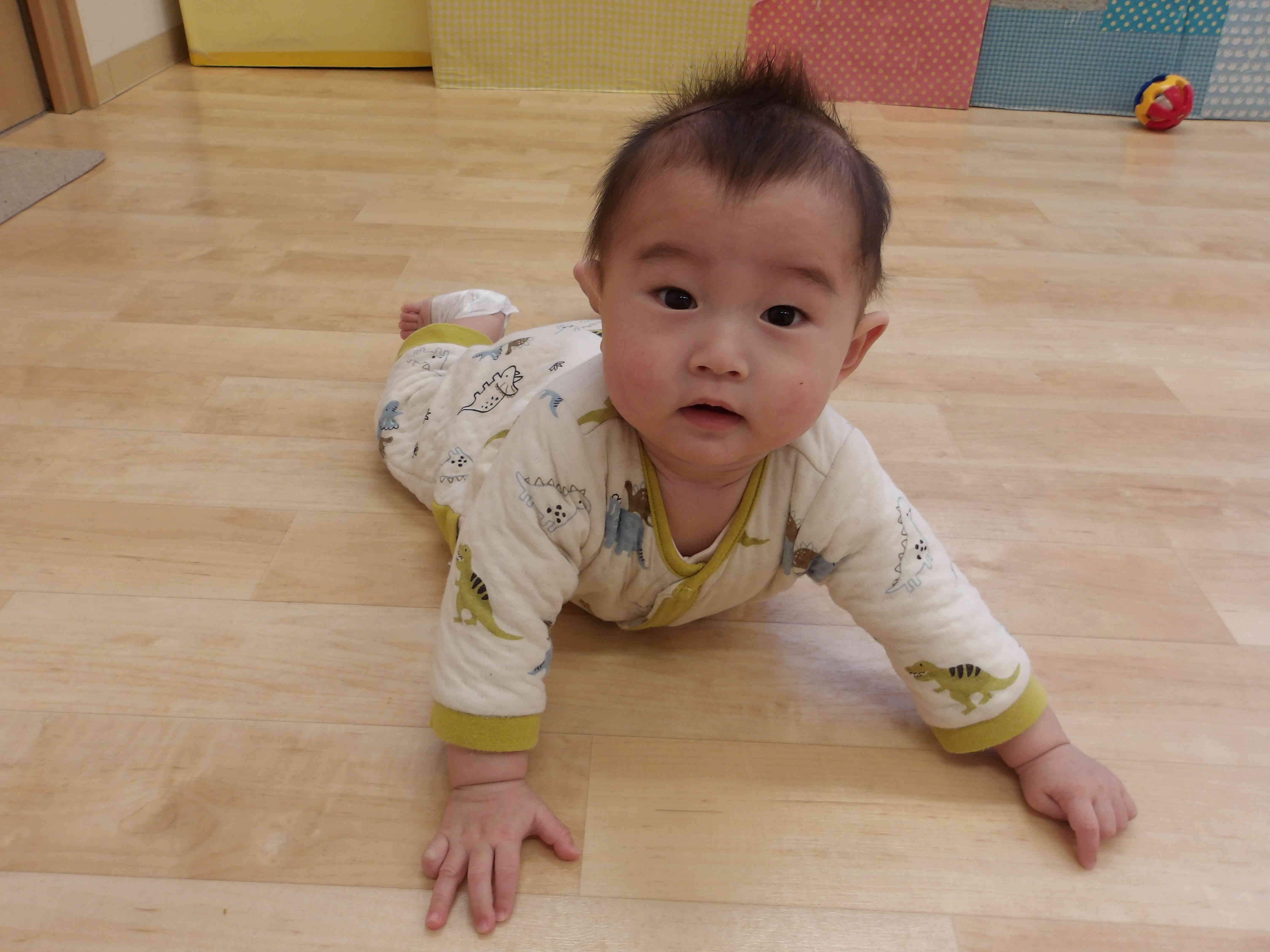 みてみて～たくさん動けるの！