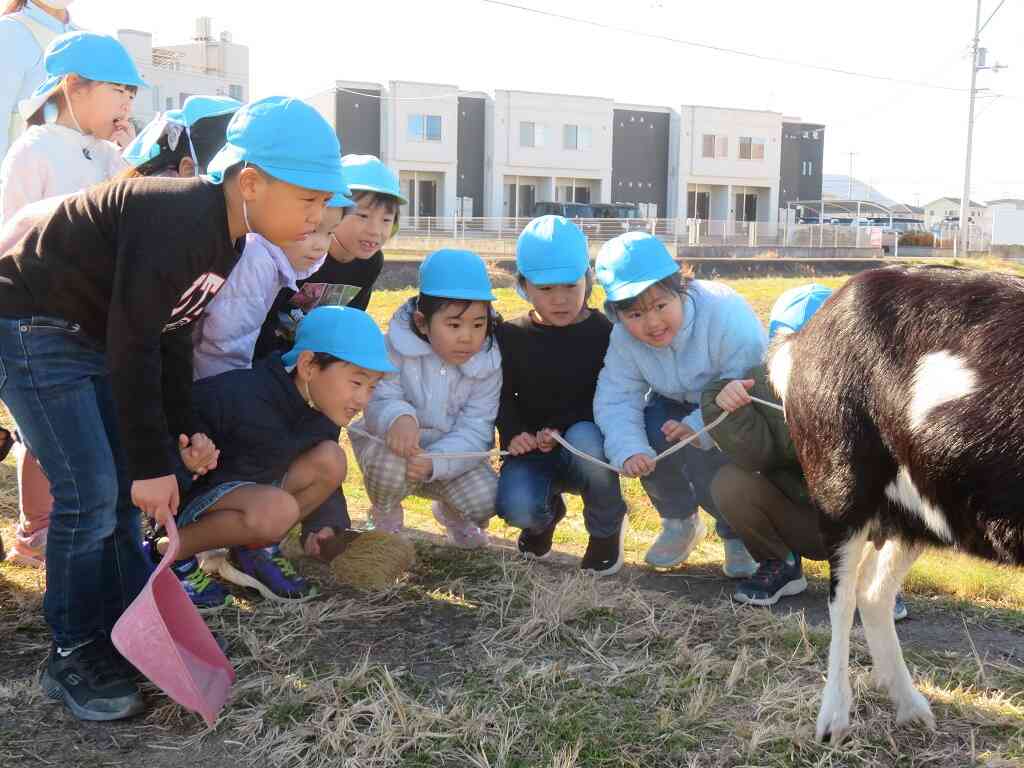 どんなうんちが出るのかな？！