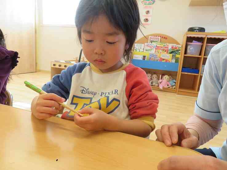 箸の持ち方の練習