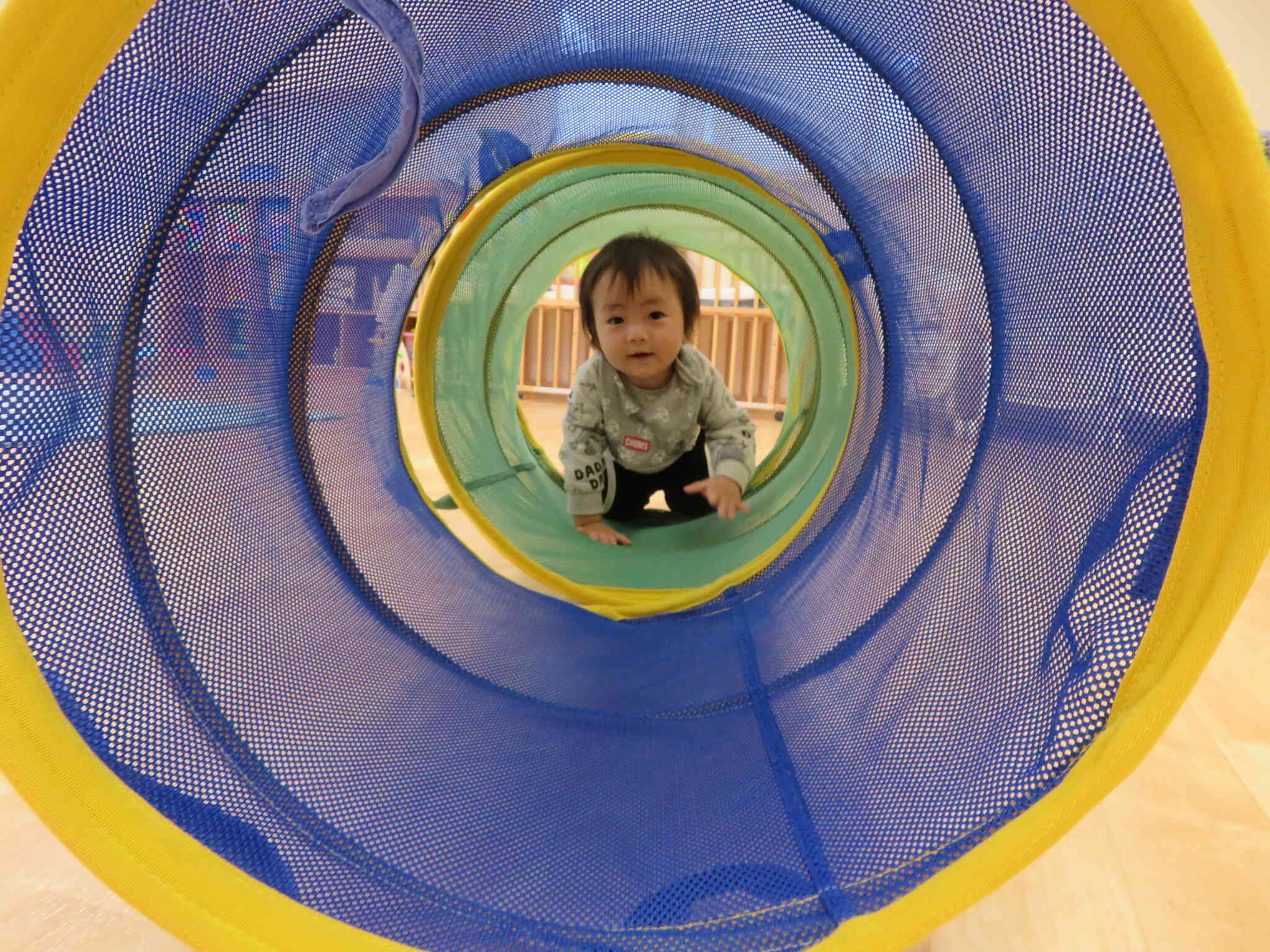 先生みーつけた！