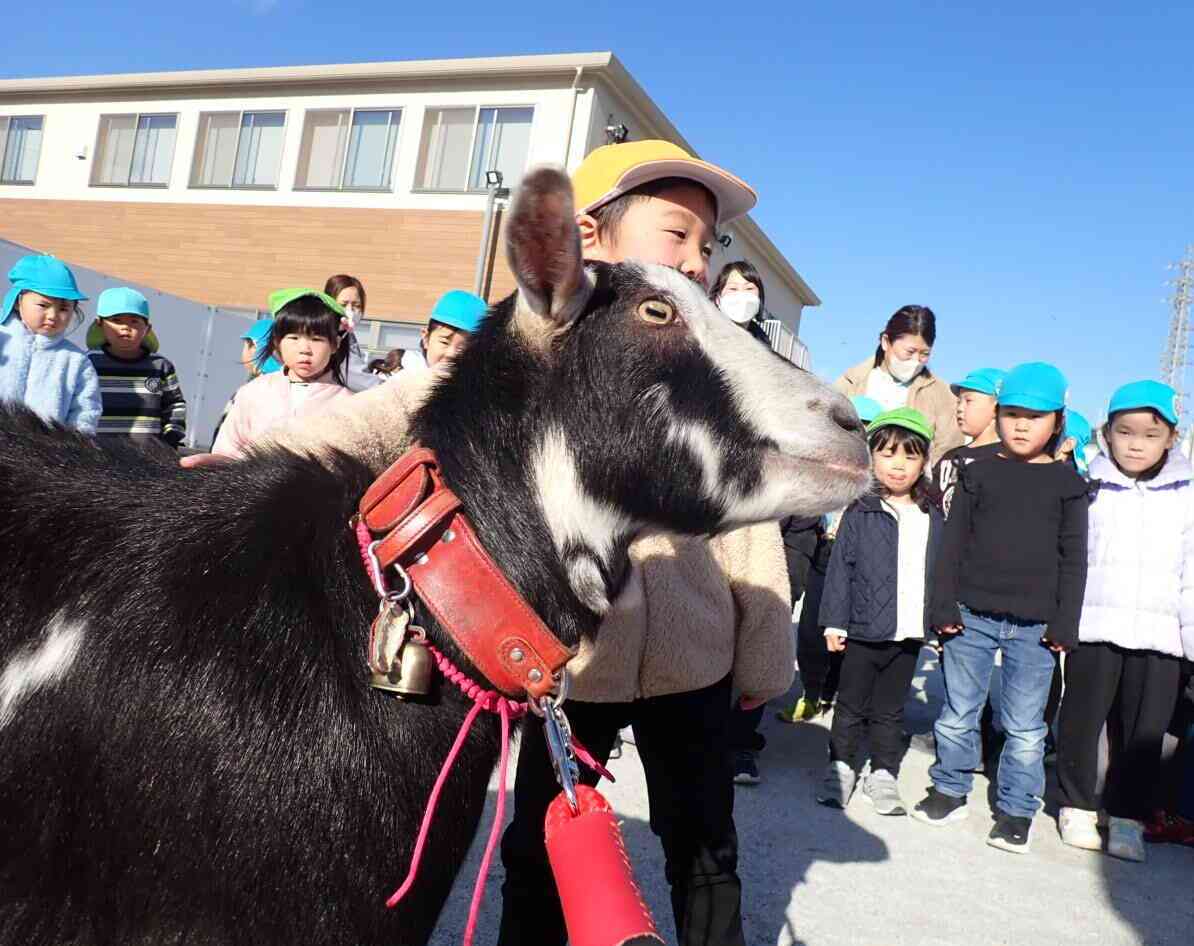 そーっと優しいタッチで触れたよ