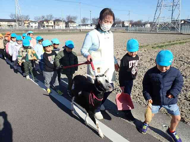 はっちゃん、ひっぱる力強いな～