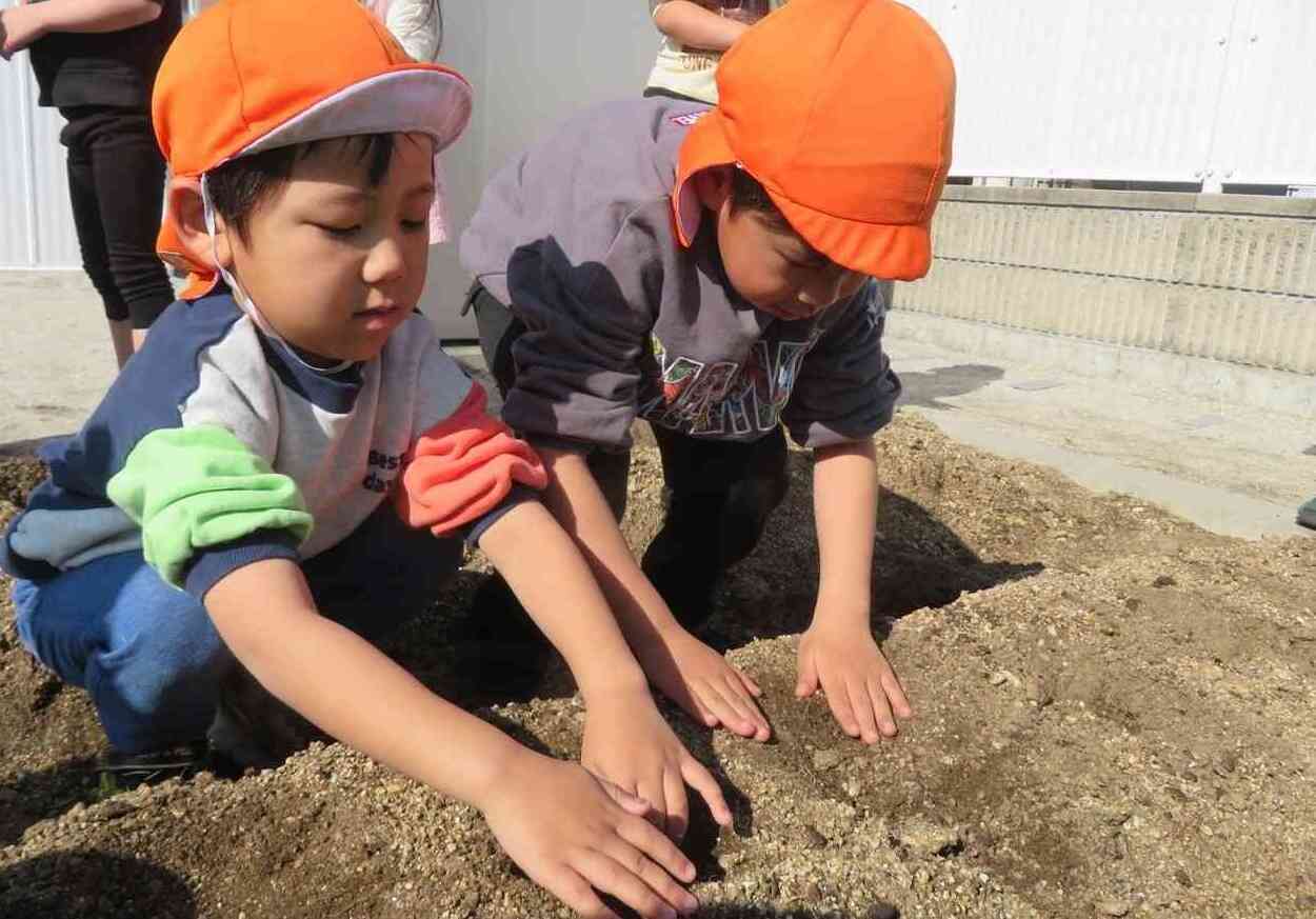 やさしく土のお布団をかけるんだよ。