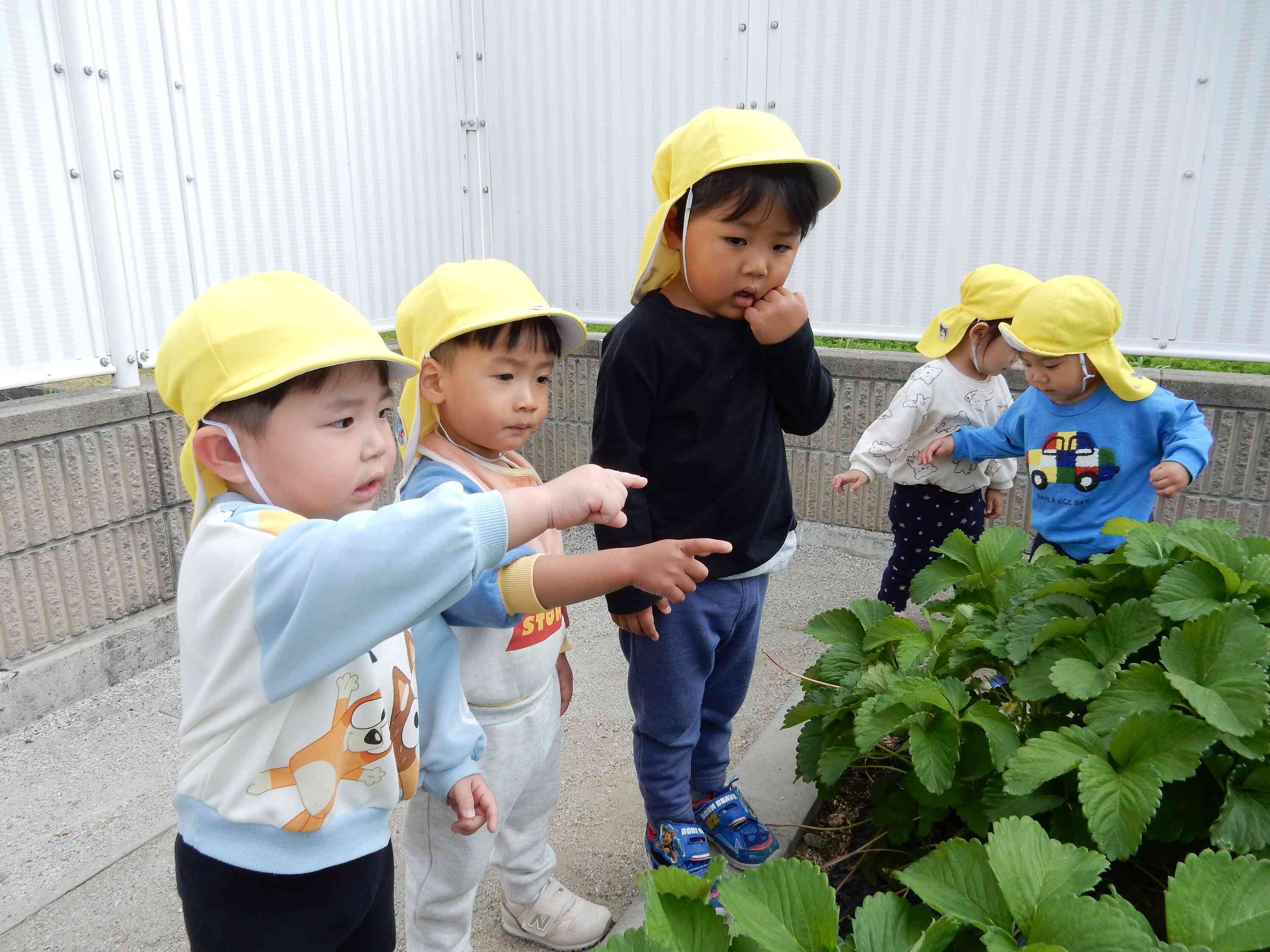 みてみて！ここにも虫がいるの！