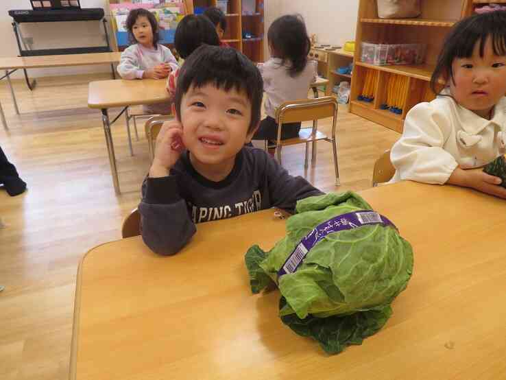 給食にもキャベツが入っているよ