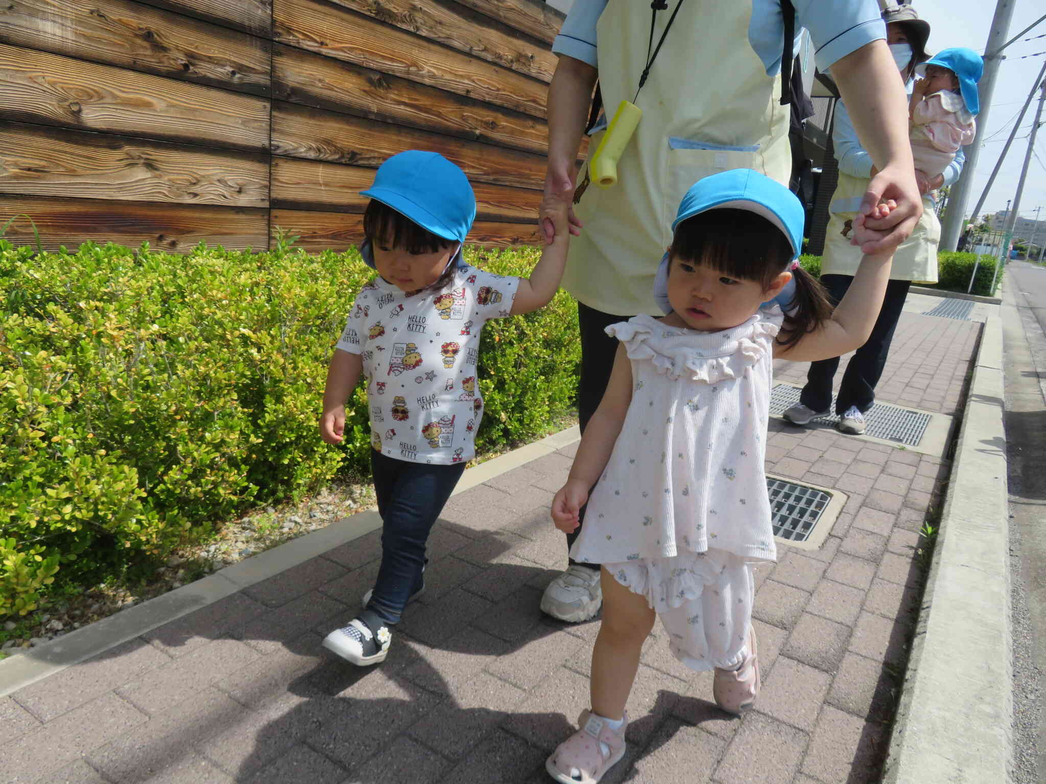 先生と手を繋いてお散歩！車に気を付けながらゆっくり歩くよ！
