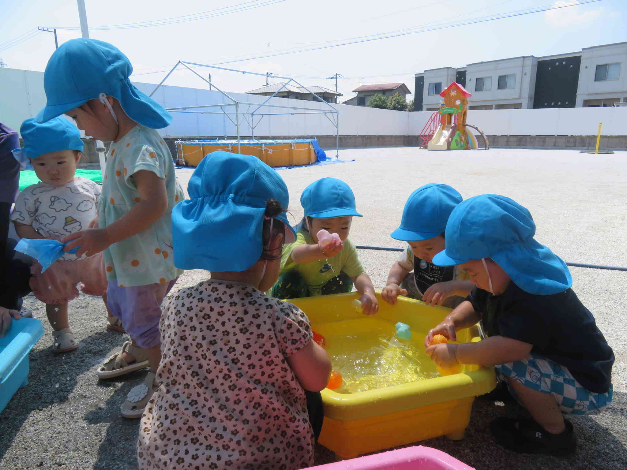 初めての水遊びに興味津々！